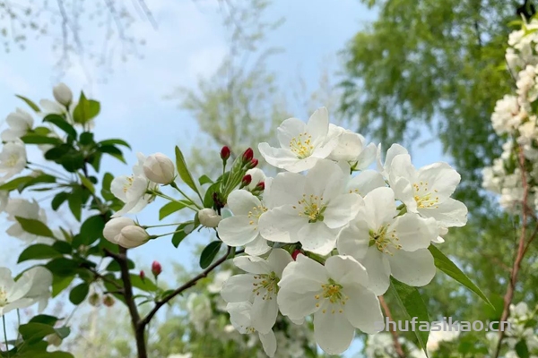 王安石不光擅长写“集句诗”,并且还是宋代“集句诗词”的集大成者-爱读书 王安石不光擅长写“集句诗”,并且还是宋代“集句诗词”的集大成者-爱读书