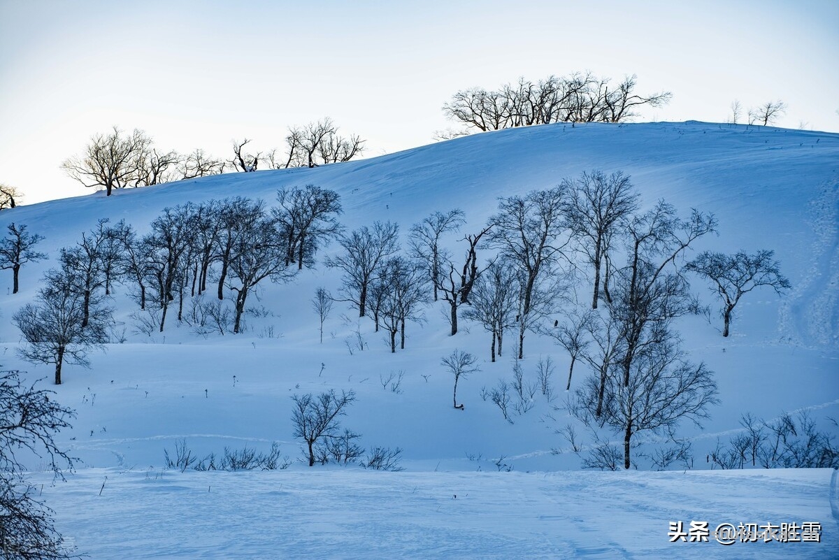 诗词解读：大雪节气古诗六首赏读：此间大雪节，花放小桃枝-爱读书