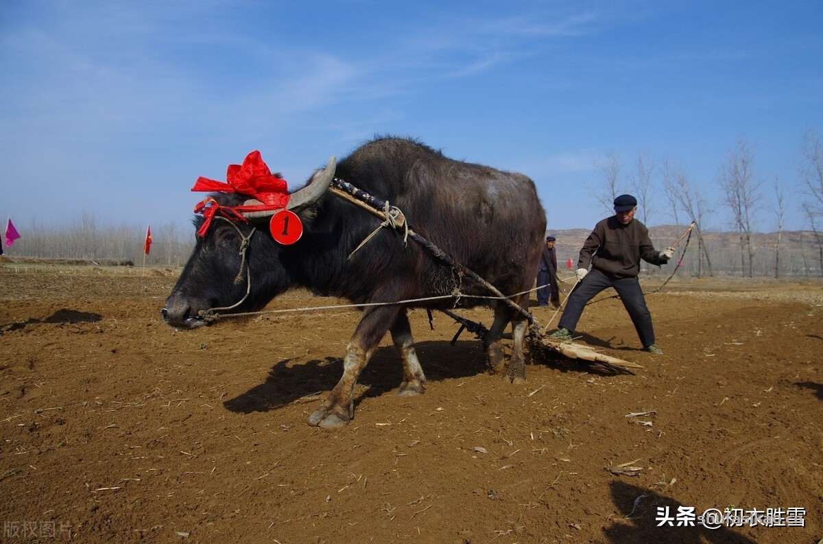诗词解读:仲冬冬耕古诗六首,乡邻无事冬耕罢,独倚篱门数过牛-爱读书 诗词解读:仲冬冬耕古诗六首,乡邻无事冬耕罢,独倚篱门数过牛-爱读书