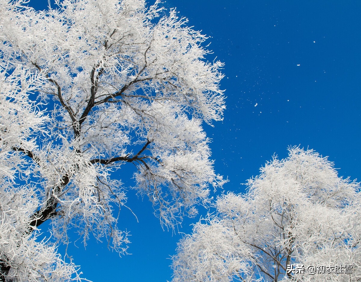 诗词解读：诗僧函可雪诗两首：我心与雪何相似，雪来见我如有情-爱读书