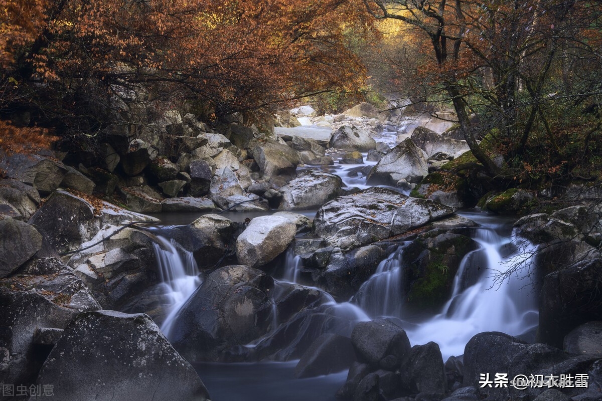 诗词解读：早冬红树美诗六首赏读：一山红树寺边多，满川红树夕阳斜-爱读书