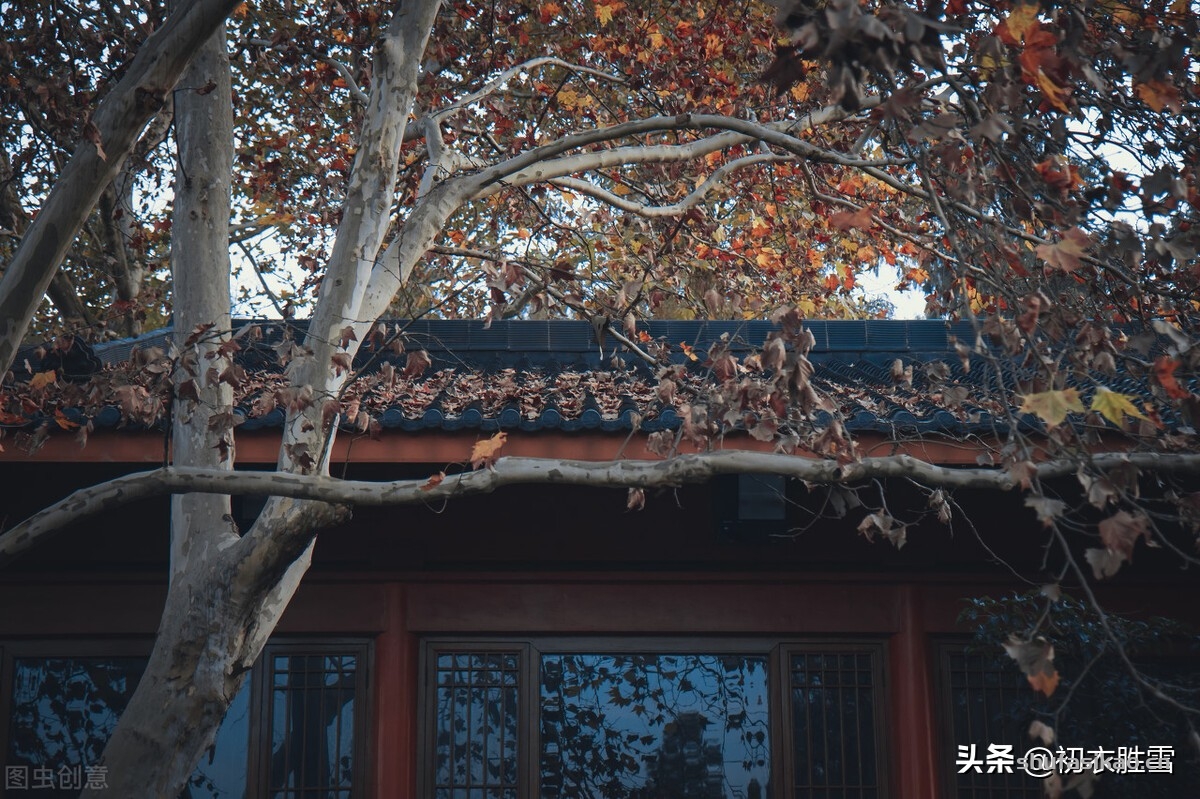 诗词解读:冬天落叶美诗六首,落叶疏林似雨声,卧听风吹落叶声-爱读书 诗词解读:冬天落叶美诗六首,落叶疏林似雨声,卧听风吹落叶声-爱读书