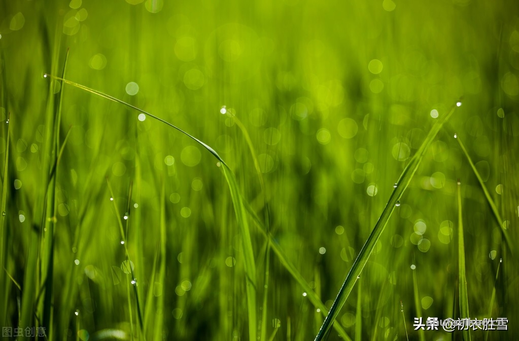 诗词解读:黄景仁情诗两首赏读,百转千回,相思不灭-爱读书 诗词解读:黄景仁情诗两首赏读,百转千回,相思不灭-爱读书