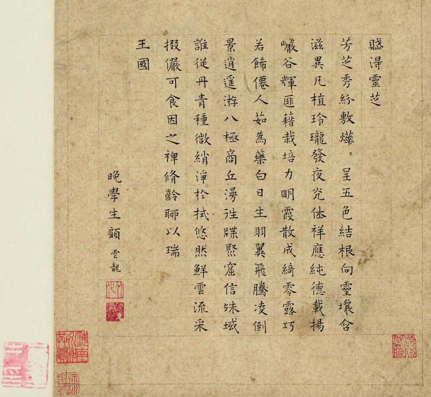 顾云龙书法欣赏《顾云龙楷书《灵芝赋》》立轴水墨纸本
