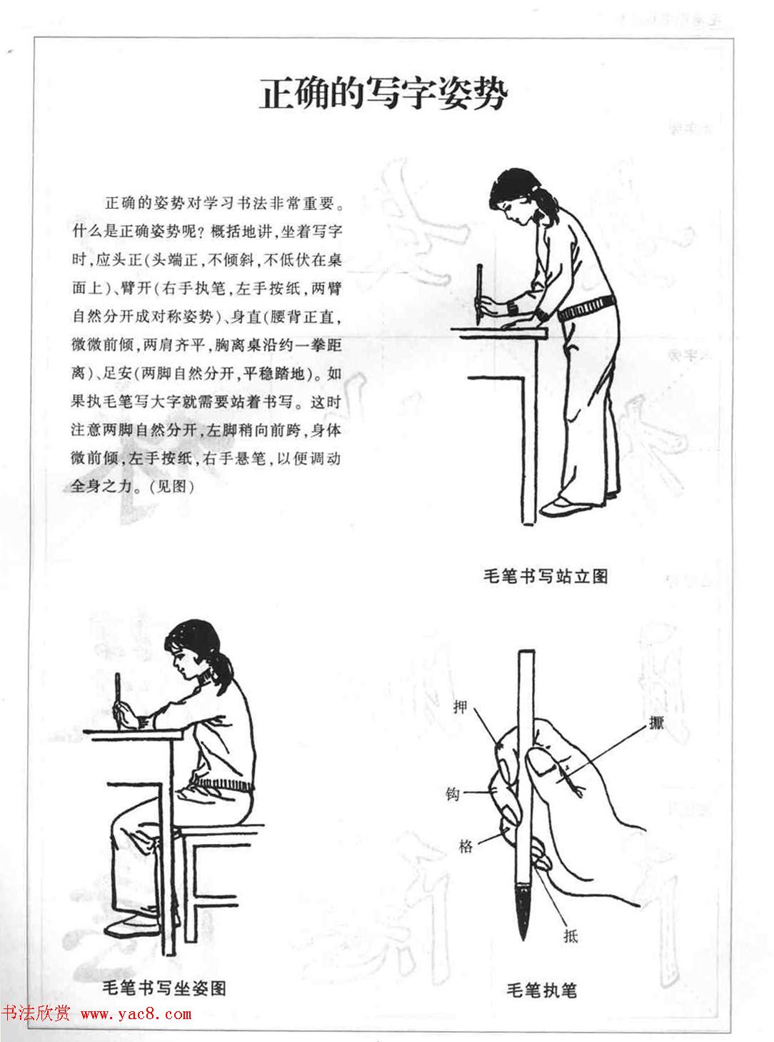 海南版精品字帖《毛笔楷书实用教程-楷书笔画》