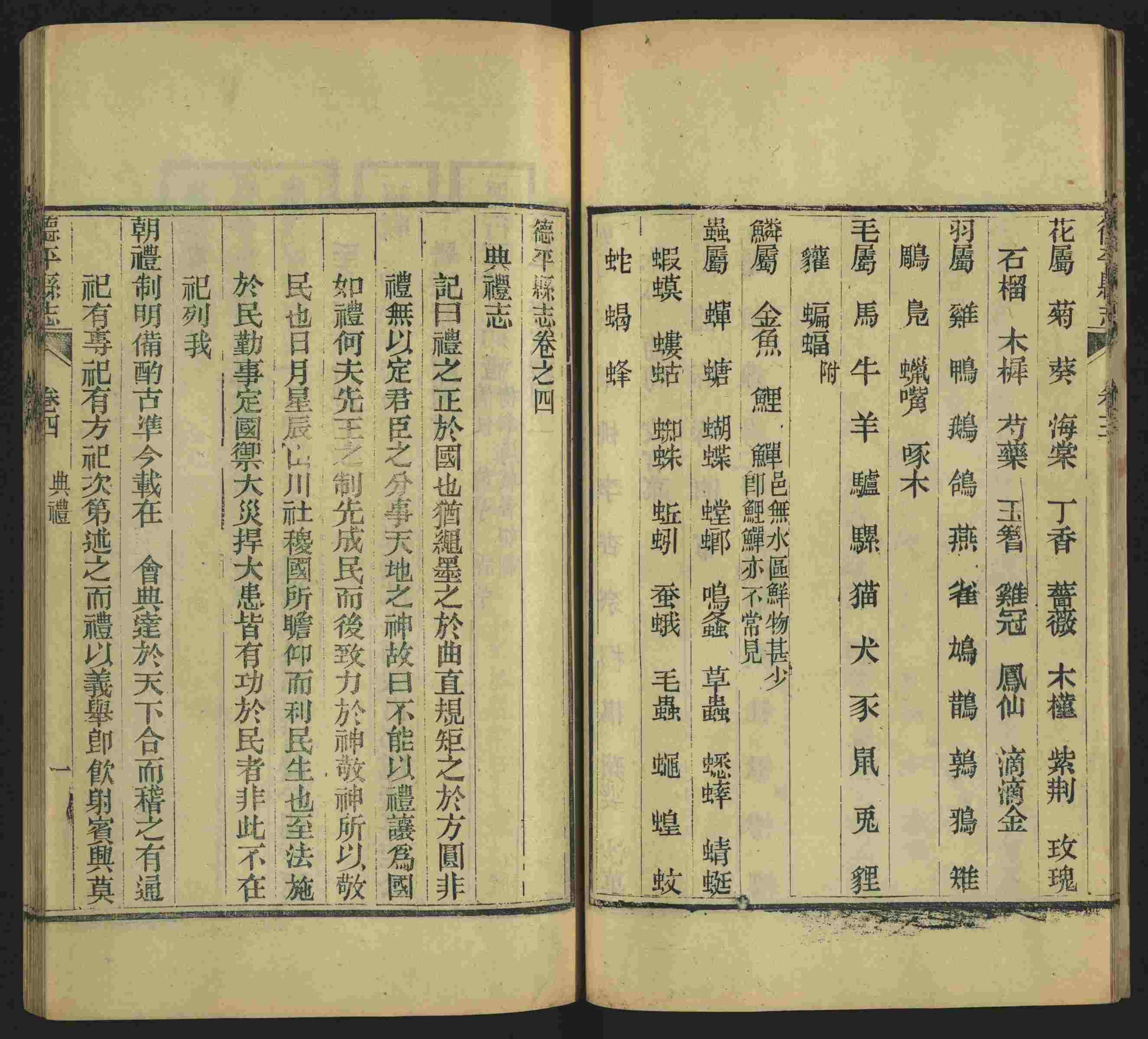 语文老师推荐的新课标小学语文生字同步练字帖是什么字帖啊