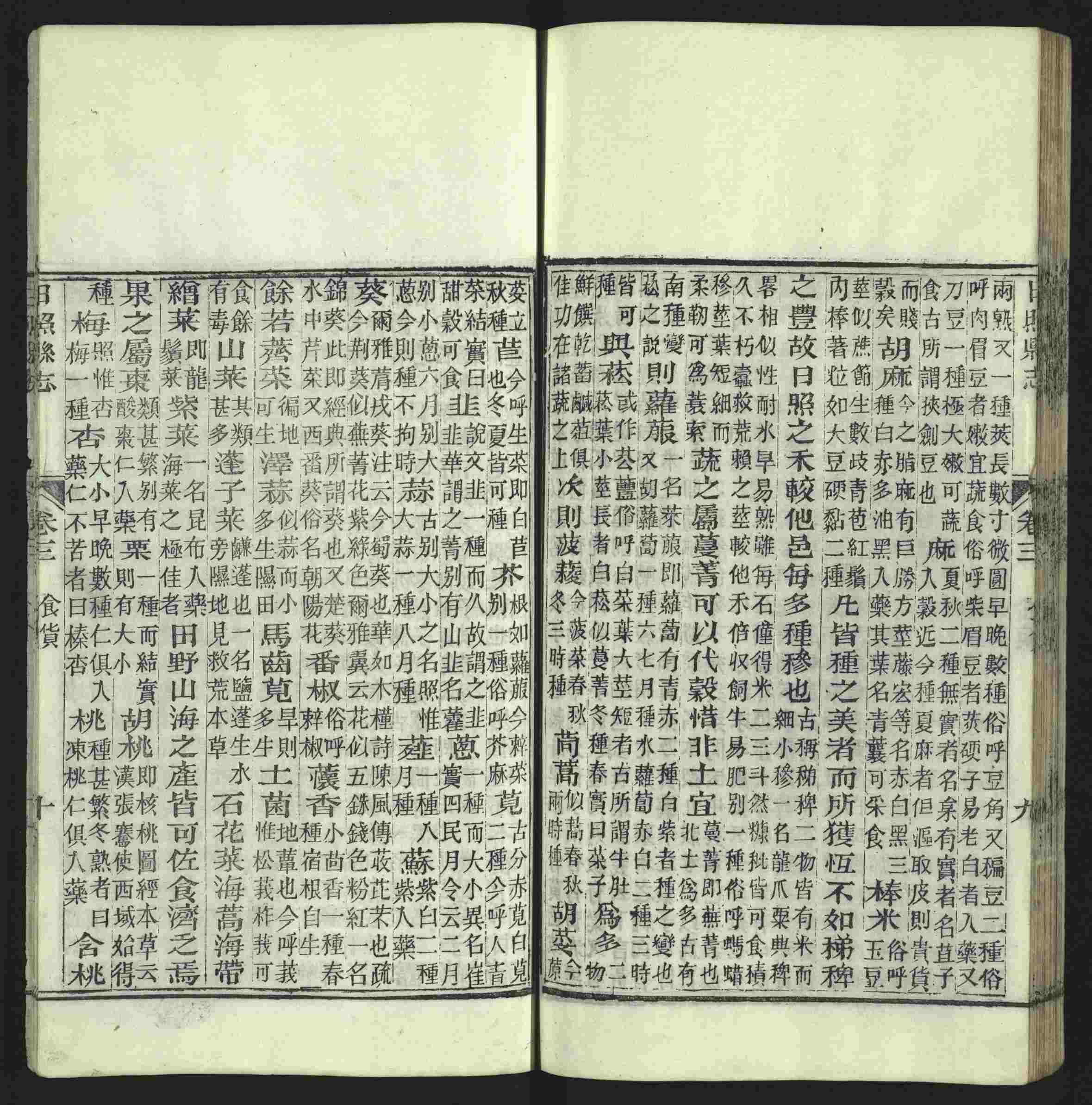 语文老师提醒的小学生练字帖字体大全是什么字帖啊
