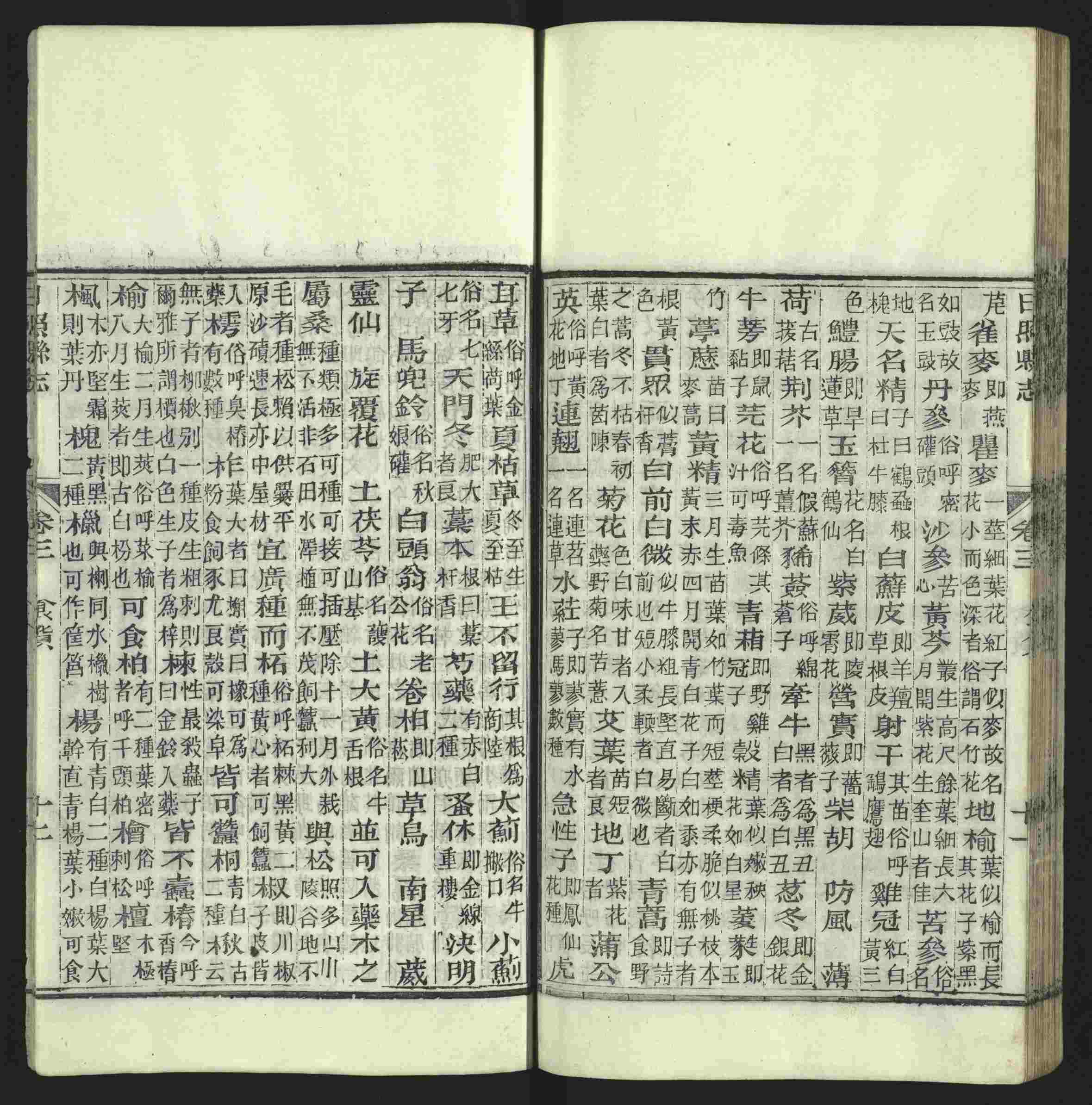 语文老师提醒的小学生练字帖字体大全是什么字帖啊