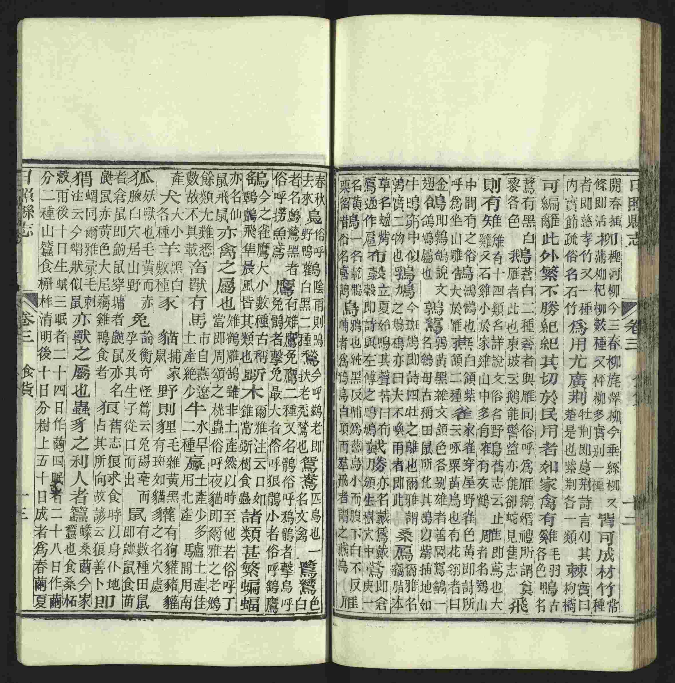 语文老师提醒的小学生练字帖字体大全是什么字帖啊