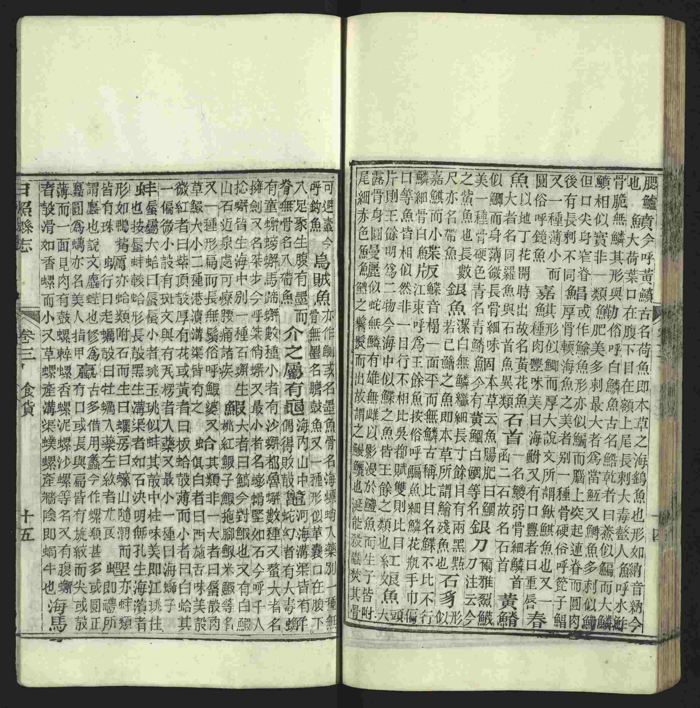 语文老师提醒的小学生练字帖字体大全是什么字帖啊