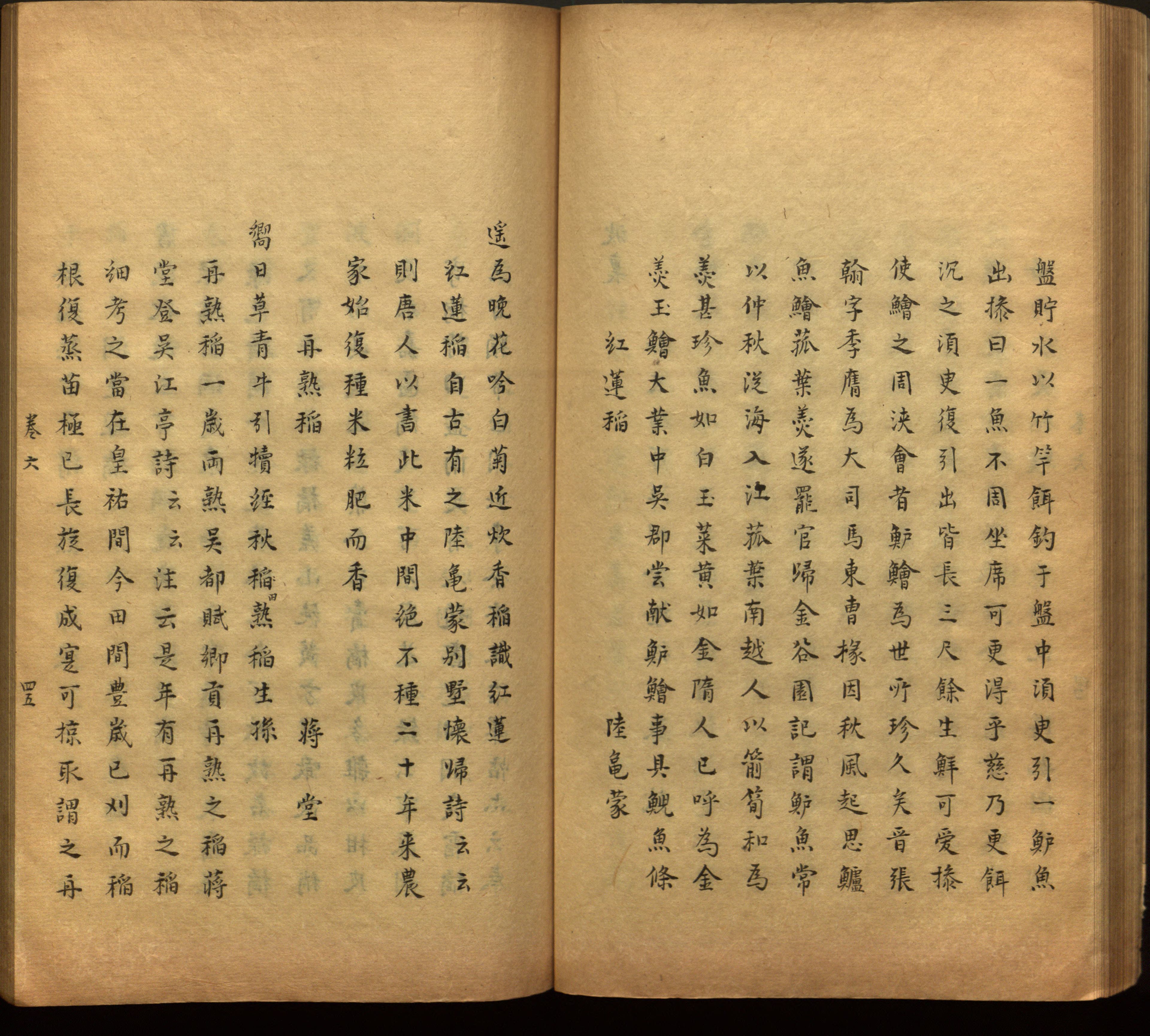 语文老师推荐的语文课本同步字帖是什么字帖啊