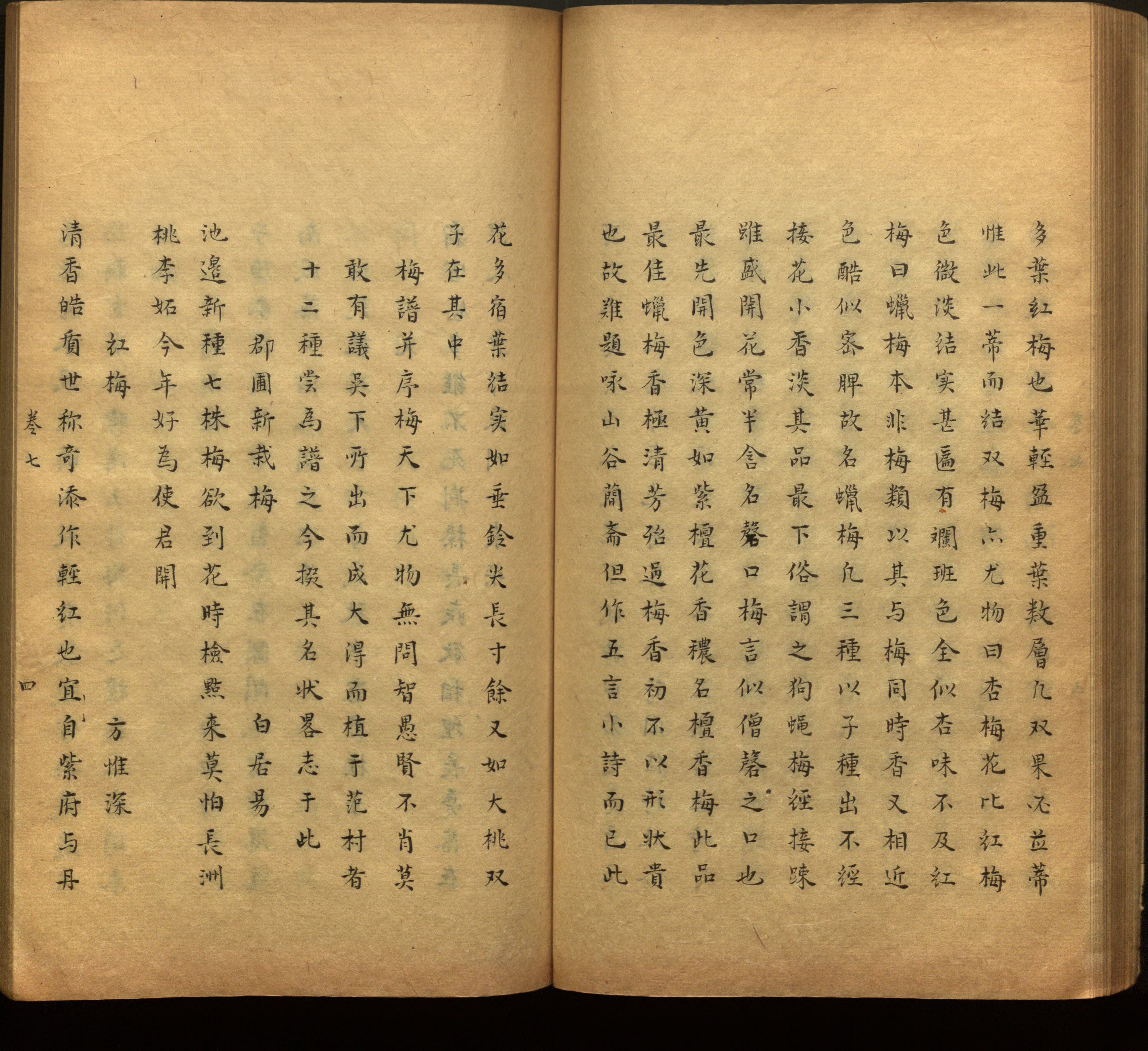 语文老师推荐的一年级上语文字帖打印是什么字帖啊
