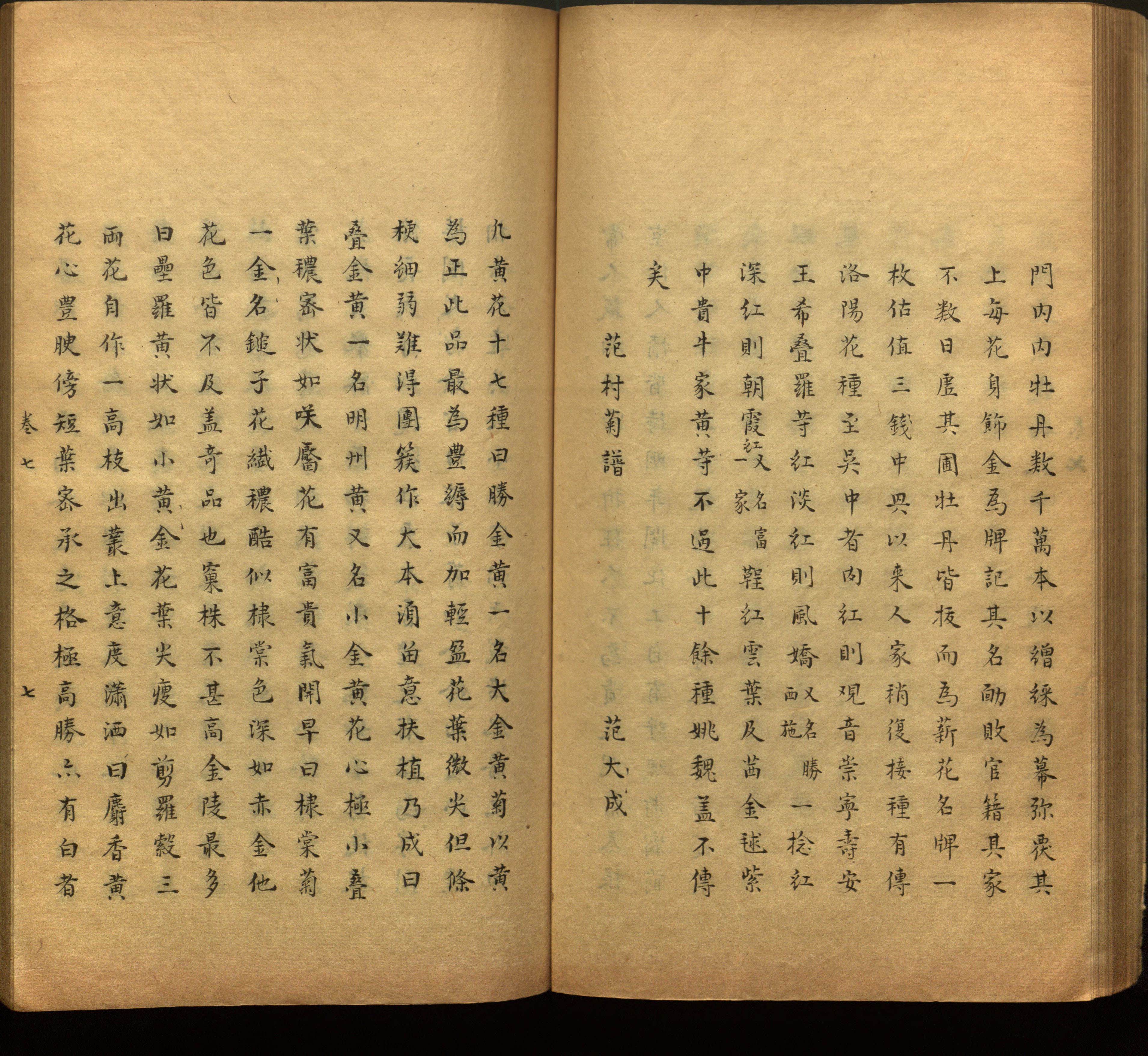 语文老师推荐的一年级上语文字帖打印是什么字帖啊