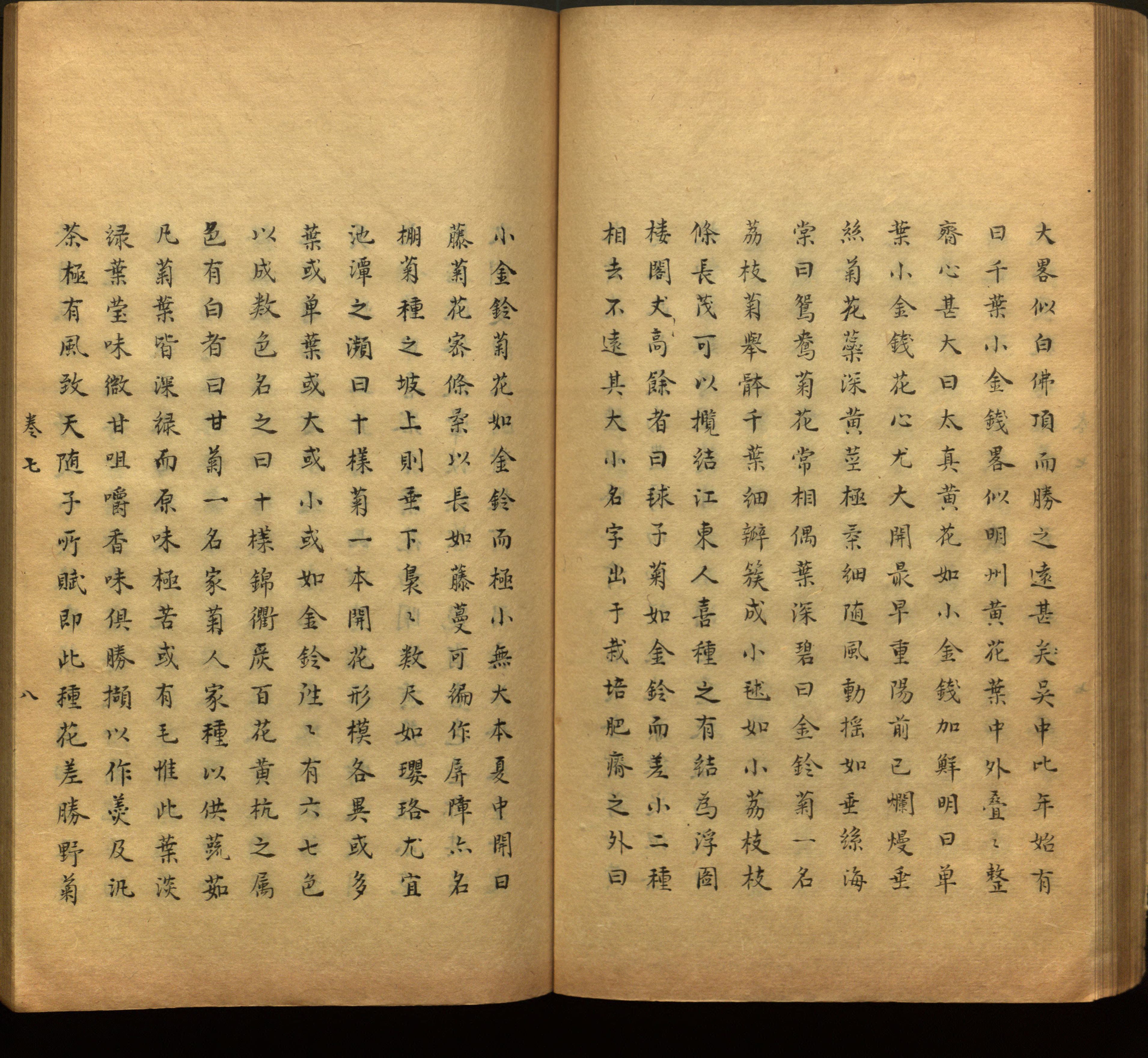 语文老师推荐的一年级上语文字帖打印是什么字帖啊