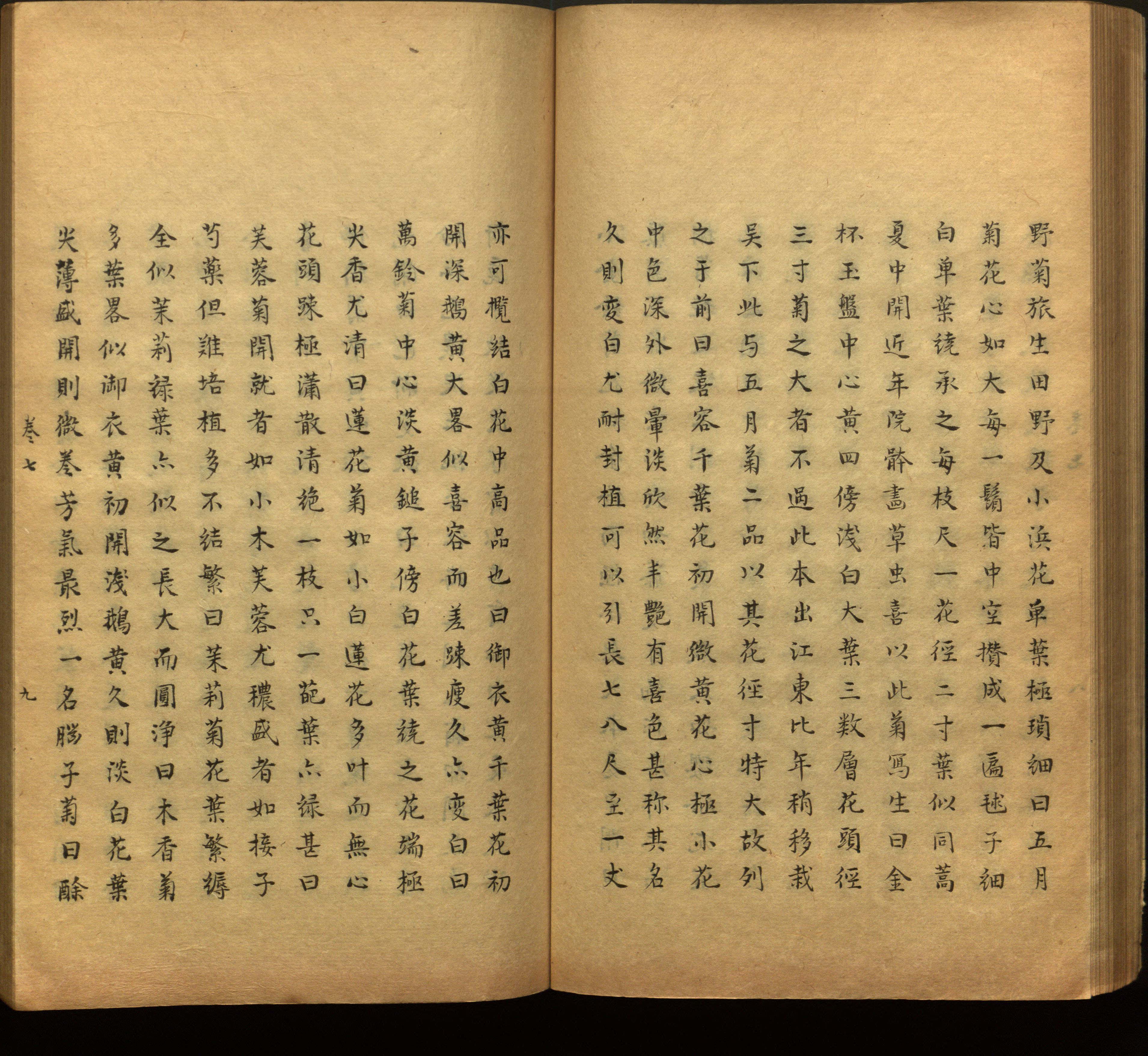 语文老师推荐的一年级上语文字帖打印是什么字帖啊