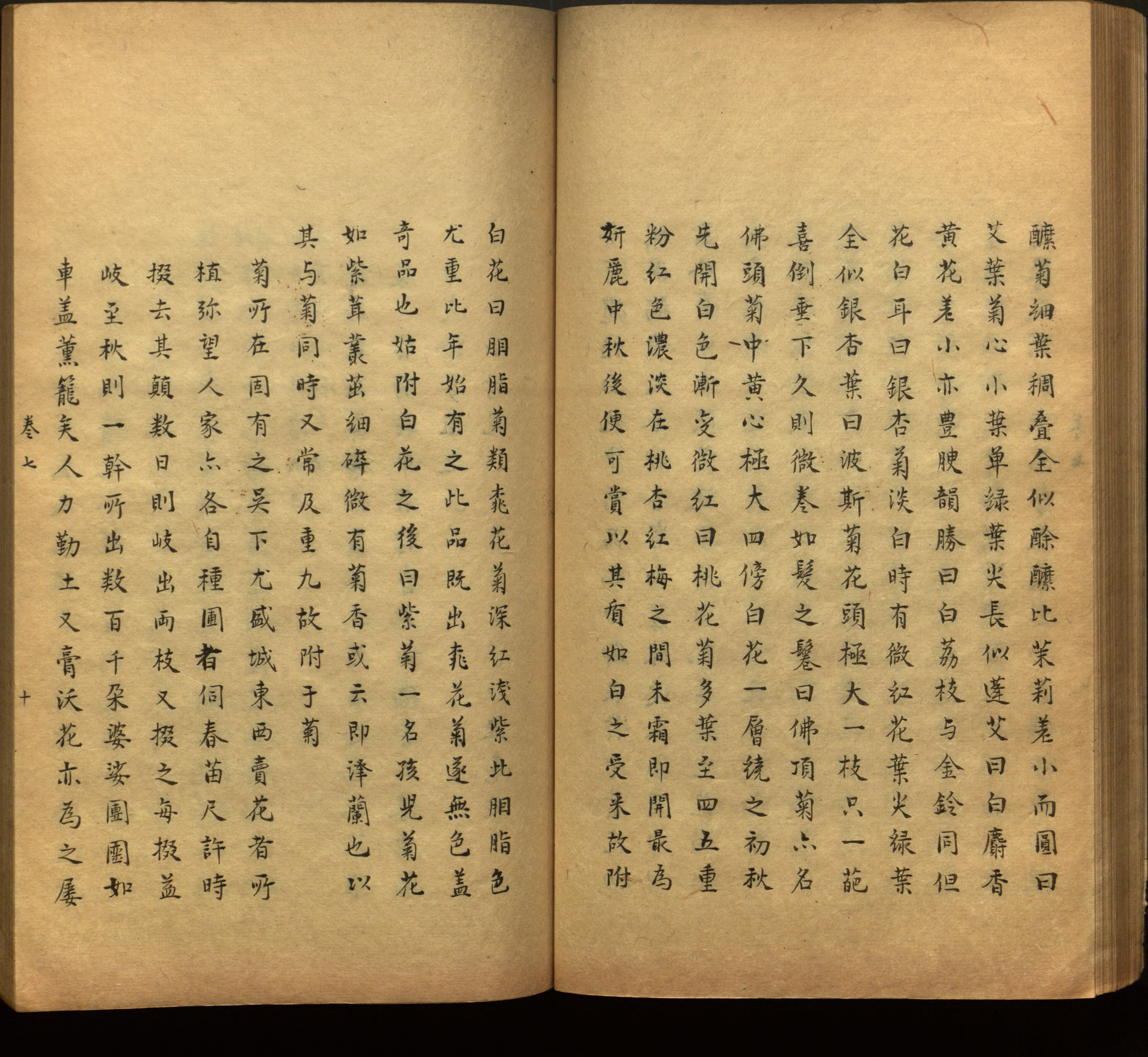 语文老师推荐的一年级上语文字帖打印是什么字帖啊