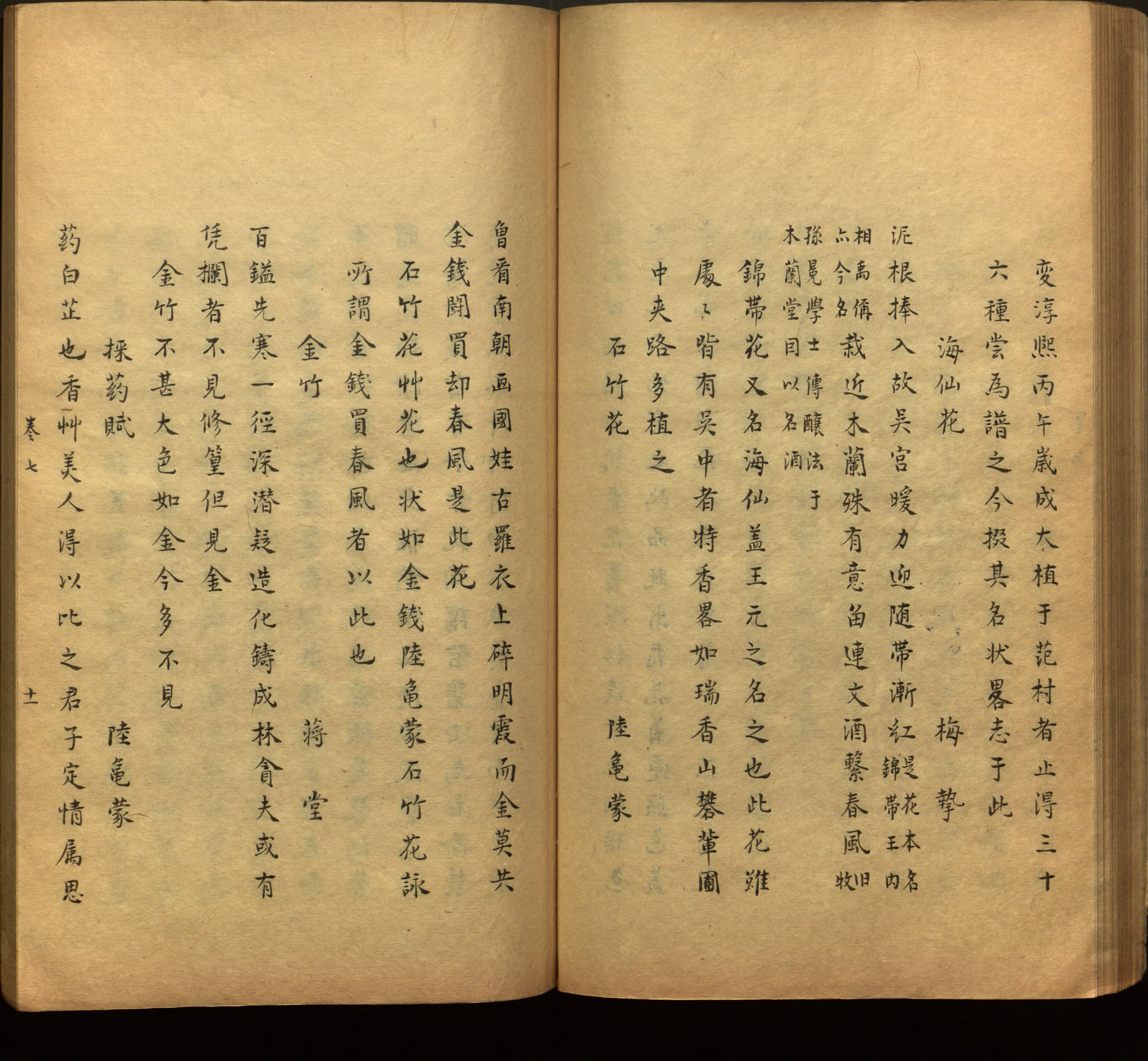 语文老师推荐的一年级上语文字帖打印是什么字帖啊