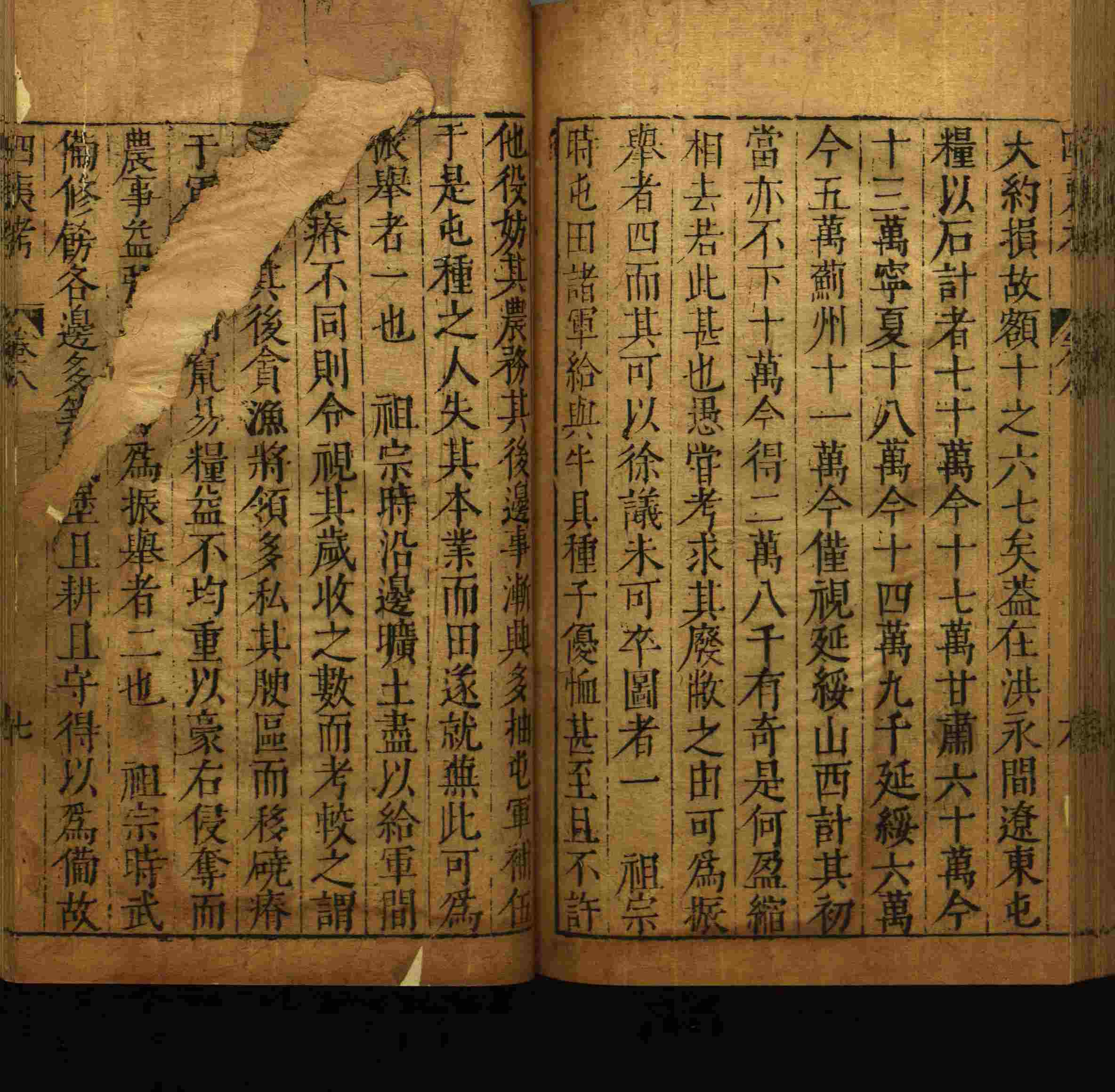 小学语文老师说到的小学生初级练字帖打印是什么字帖啊