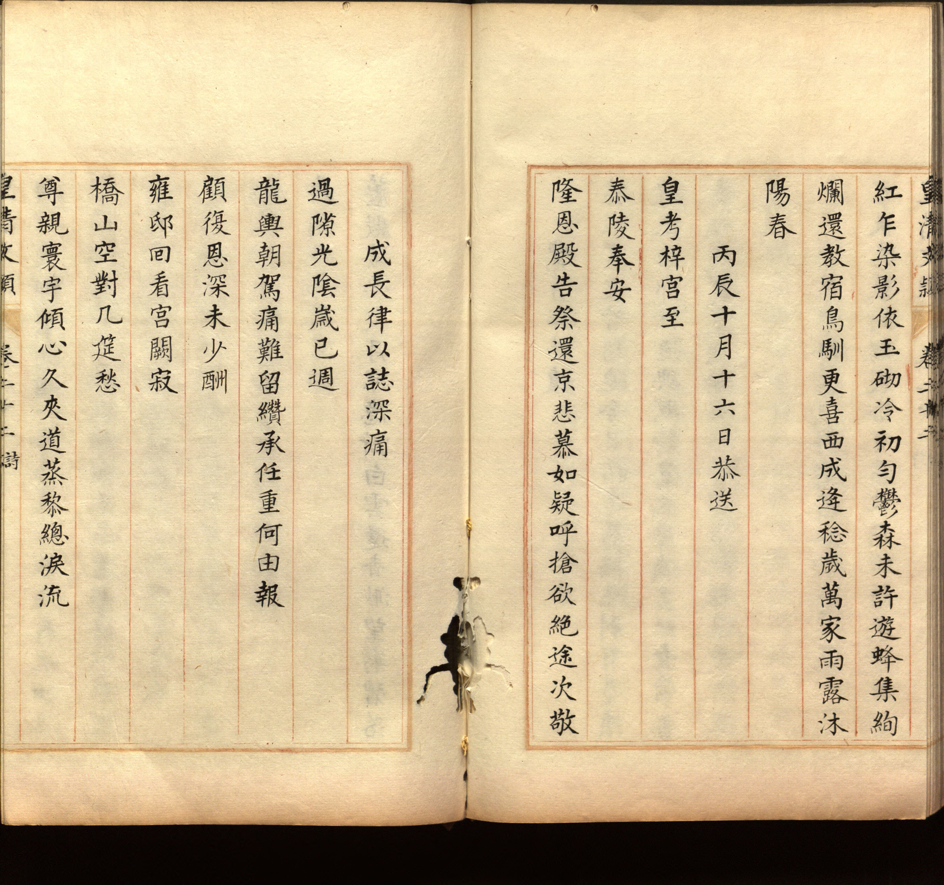 语文老师推荐的一年级练字帖大全练字是什么字帖啊