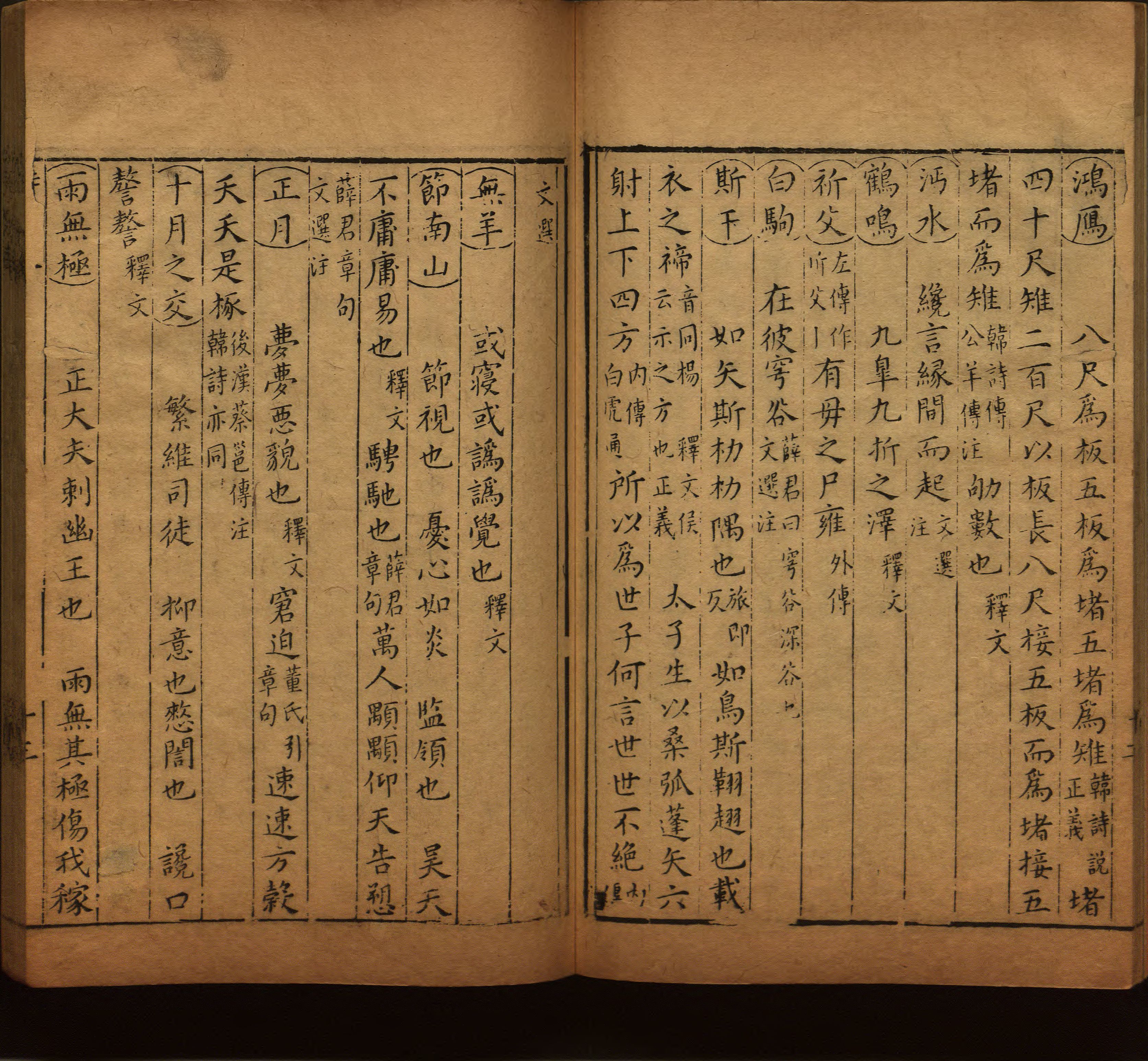 语文老师提醒的一年级练字字帖电子版可打印是什么字帖啊