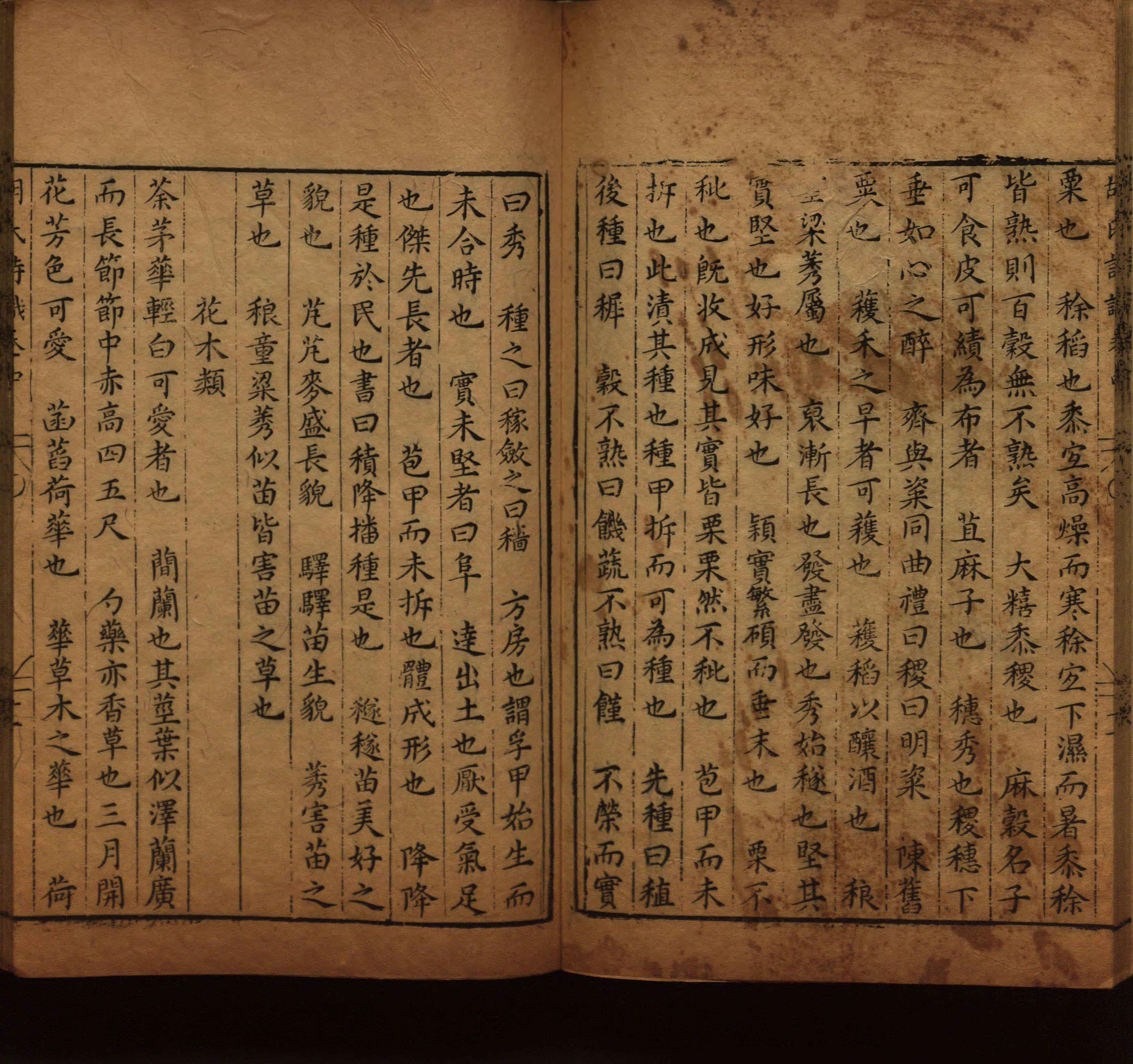 语文老师在微信群说的语文的字帖是什么字帖啊
