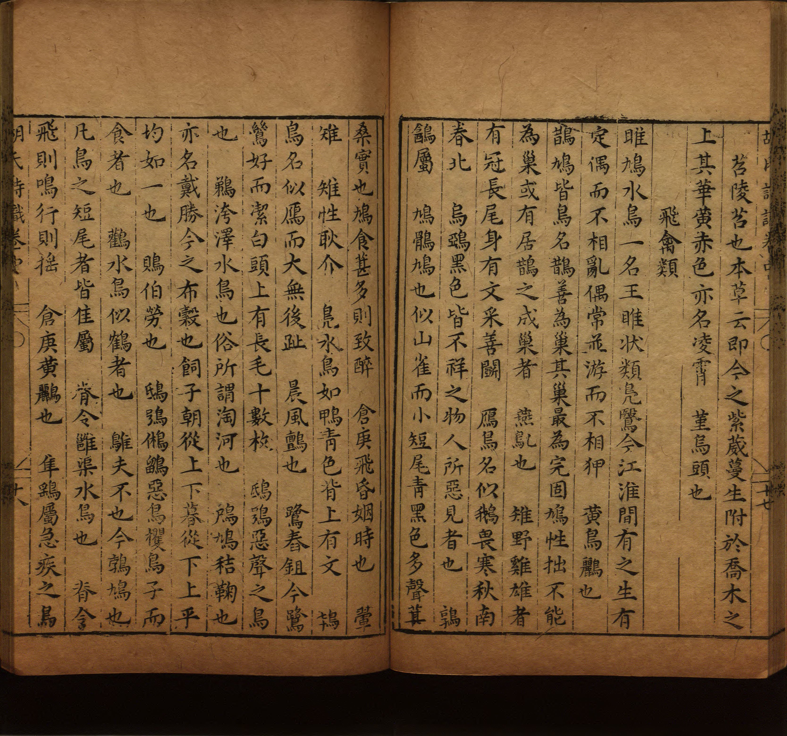 语文老师在微信群说的语文的字帖是什么字帖啊