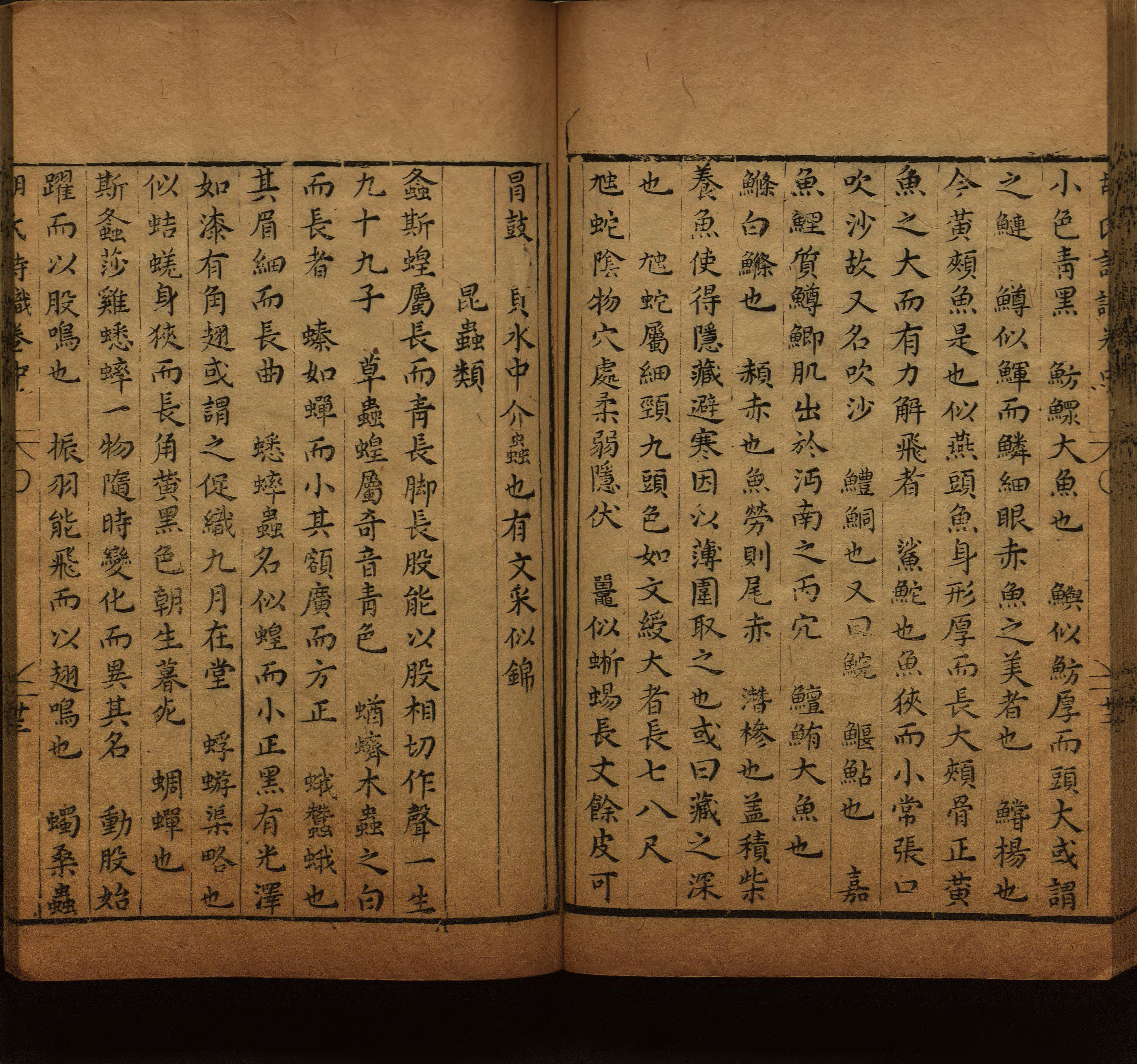 语文老师在微信群说的语文的字帖是什么字帖啊