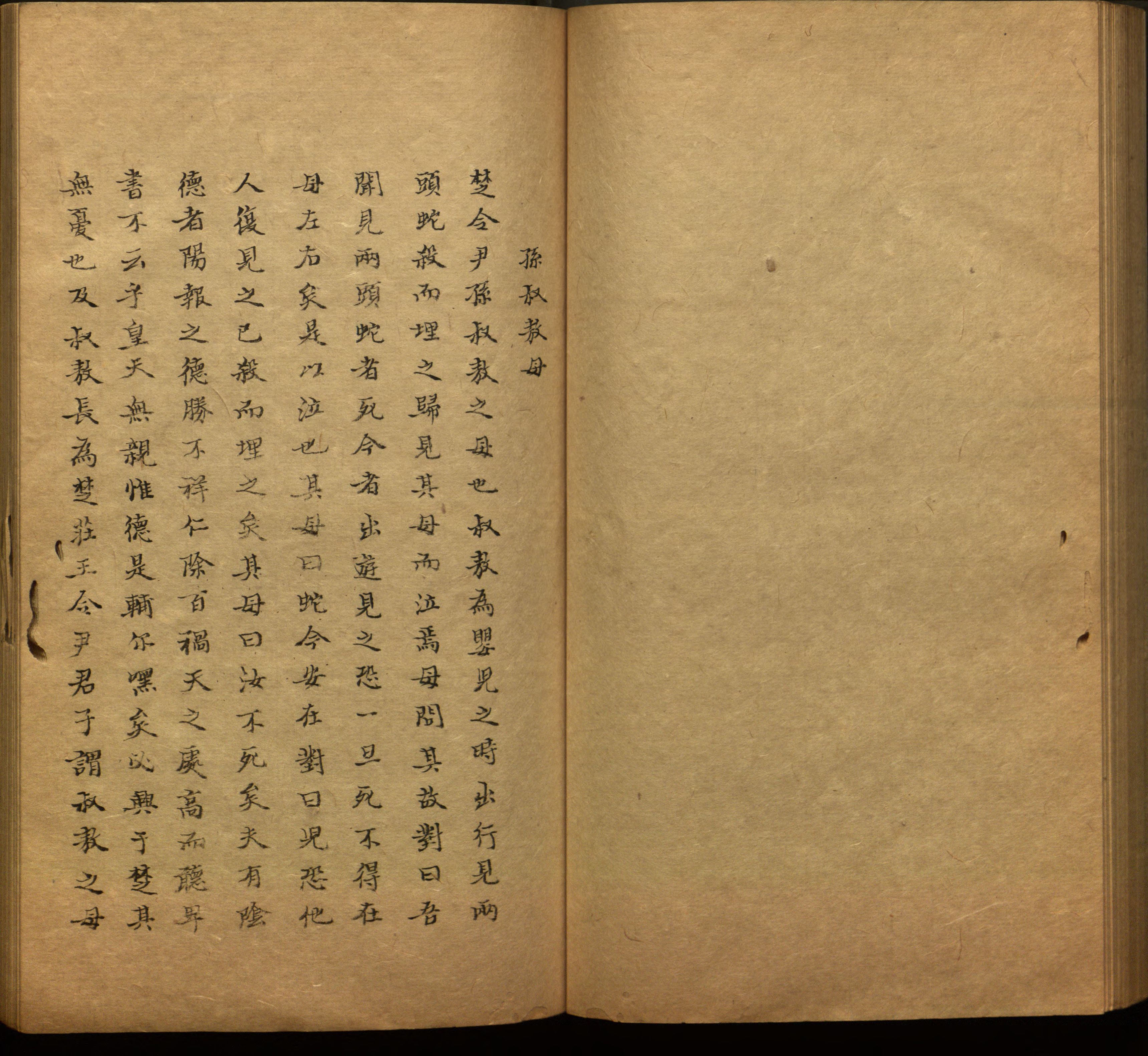 语文老师推荐的小学二年级练字帖图片是什么字帖啊