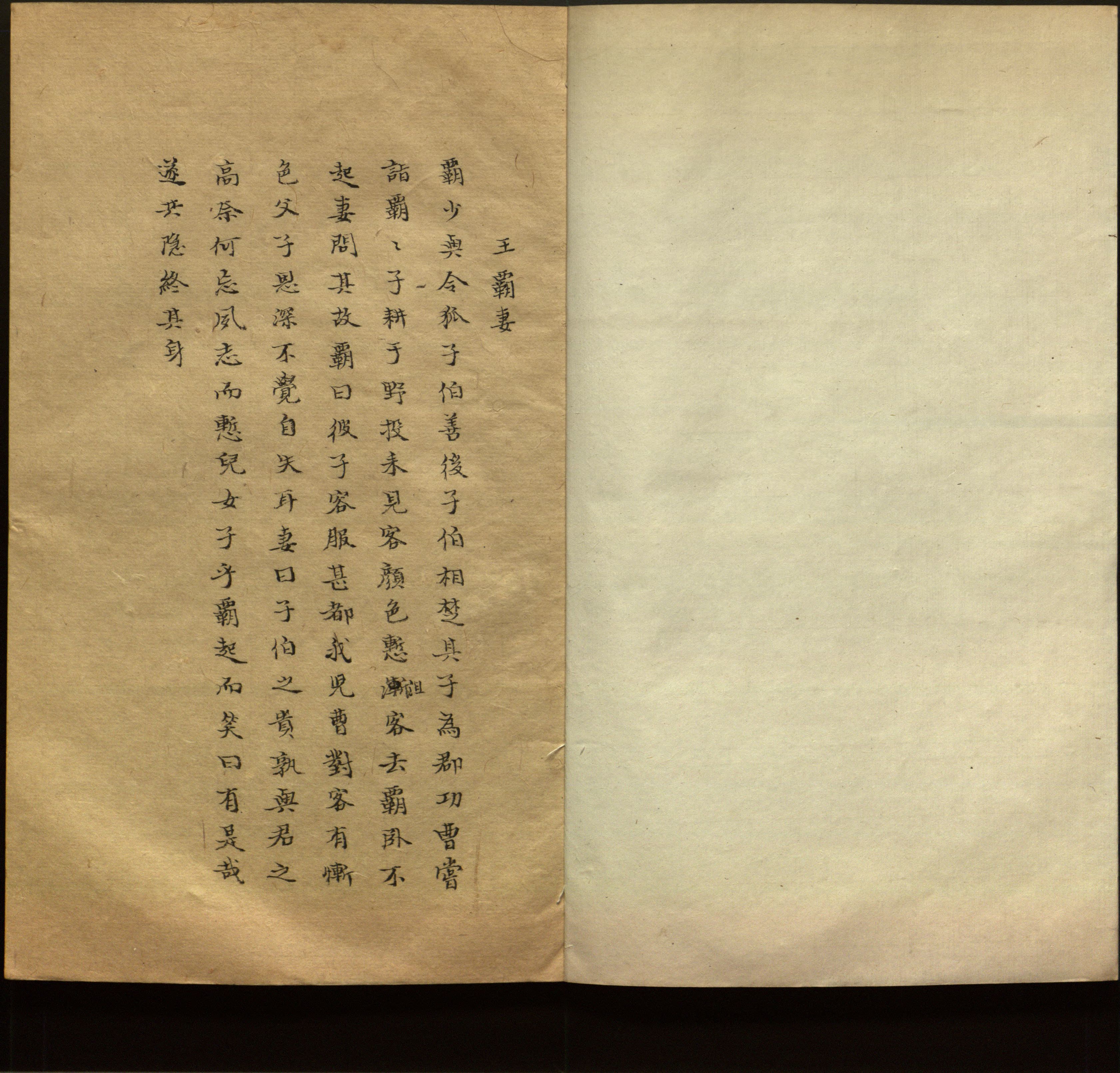 语文老师推荐的新课标小学语文生字同步练字帖是什么字帖啊