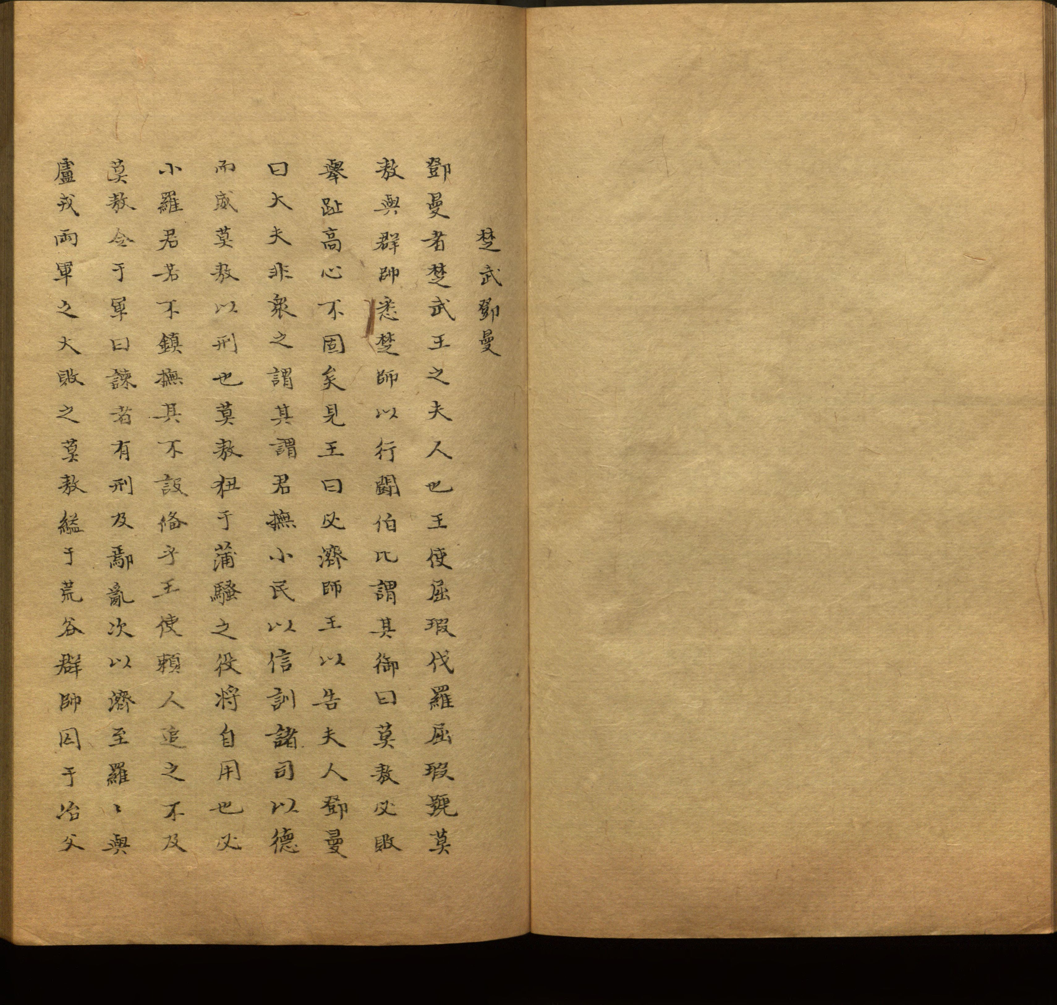 语文老师推荐的新课标小学语文生字同步练字帖是什么字帖啊