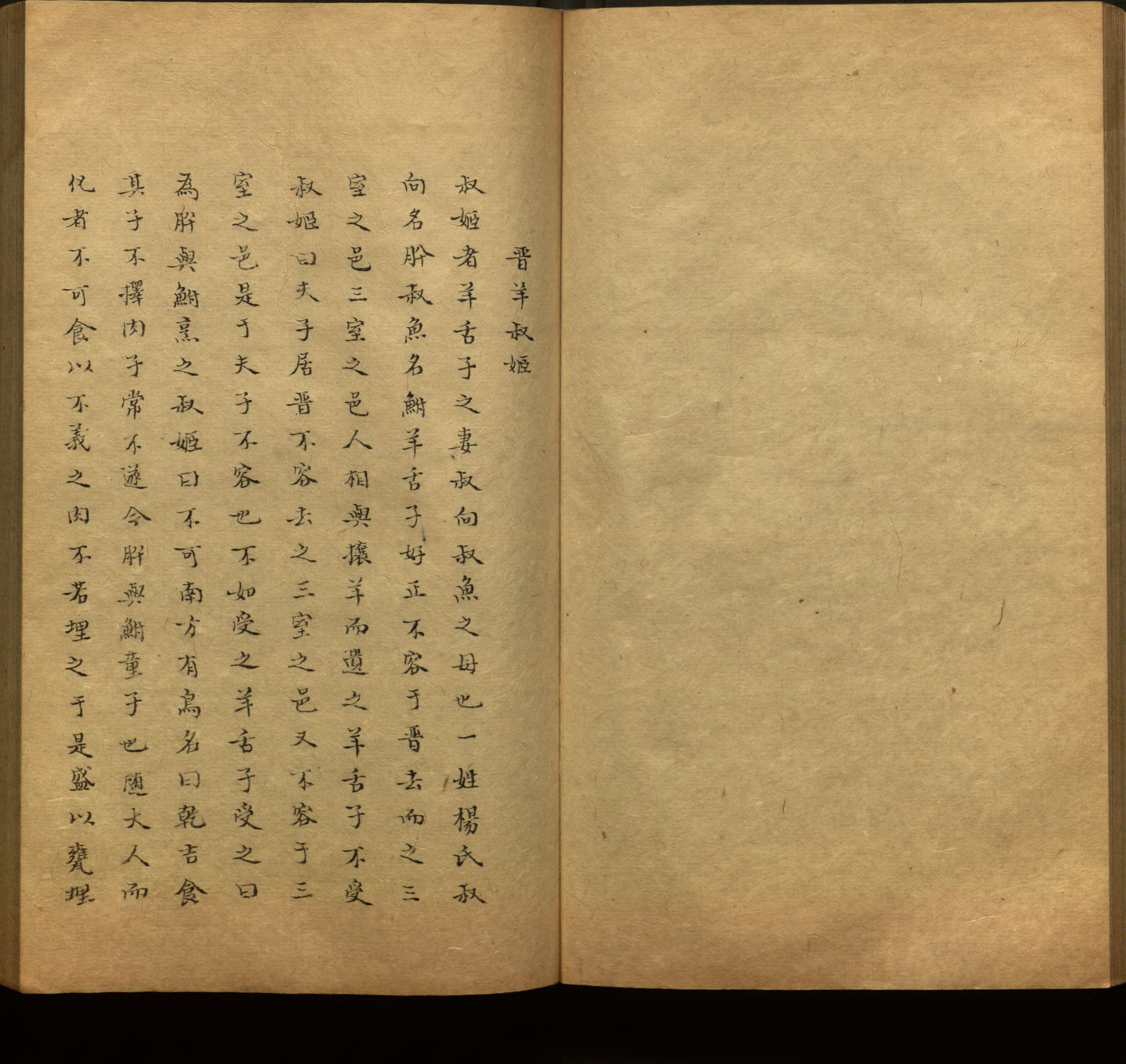 语文老师推荐的新课标小学语文生字同步练字帖是什么字帖啊