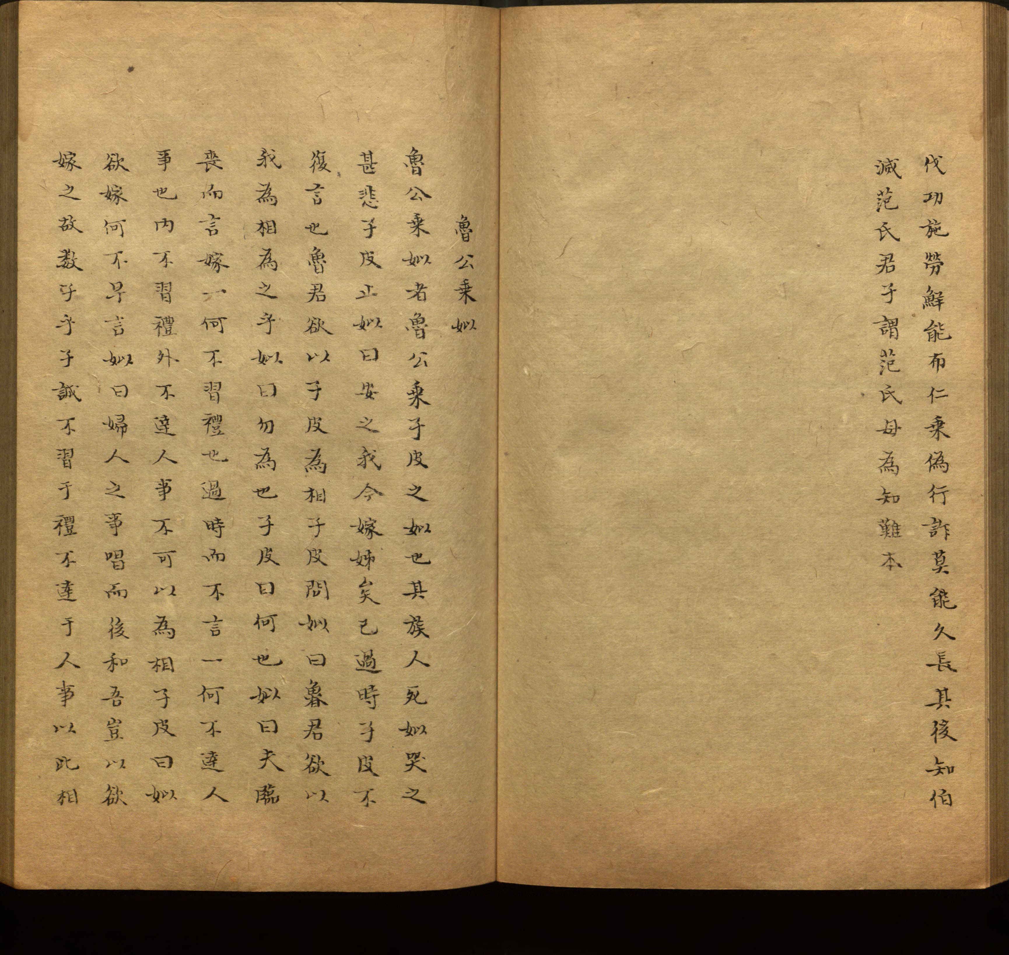 语文老师推荐的新课标小学语文生字同步练字帖是什么字帖啊