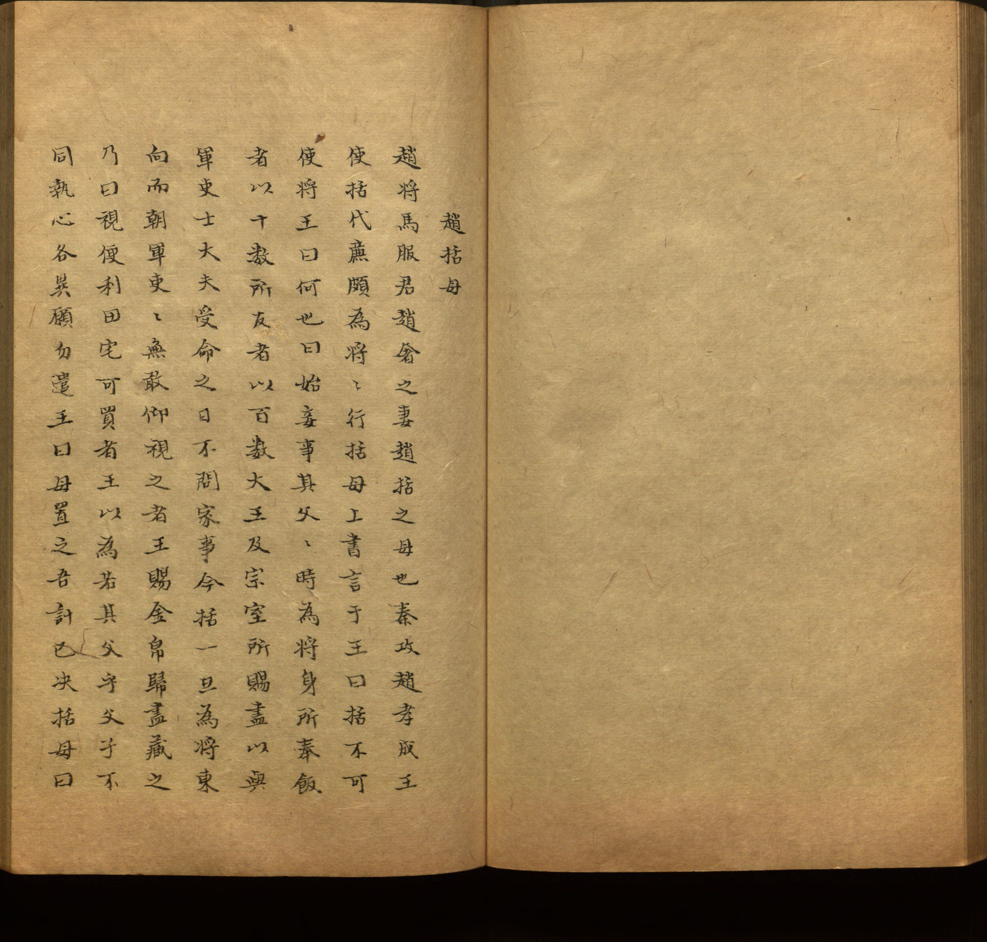 语文老师推荐的新课标小学语文生字同步练字帖是什么字帖啊