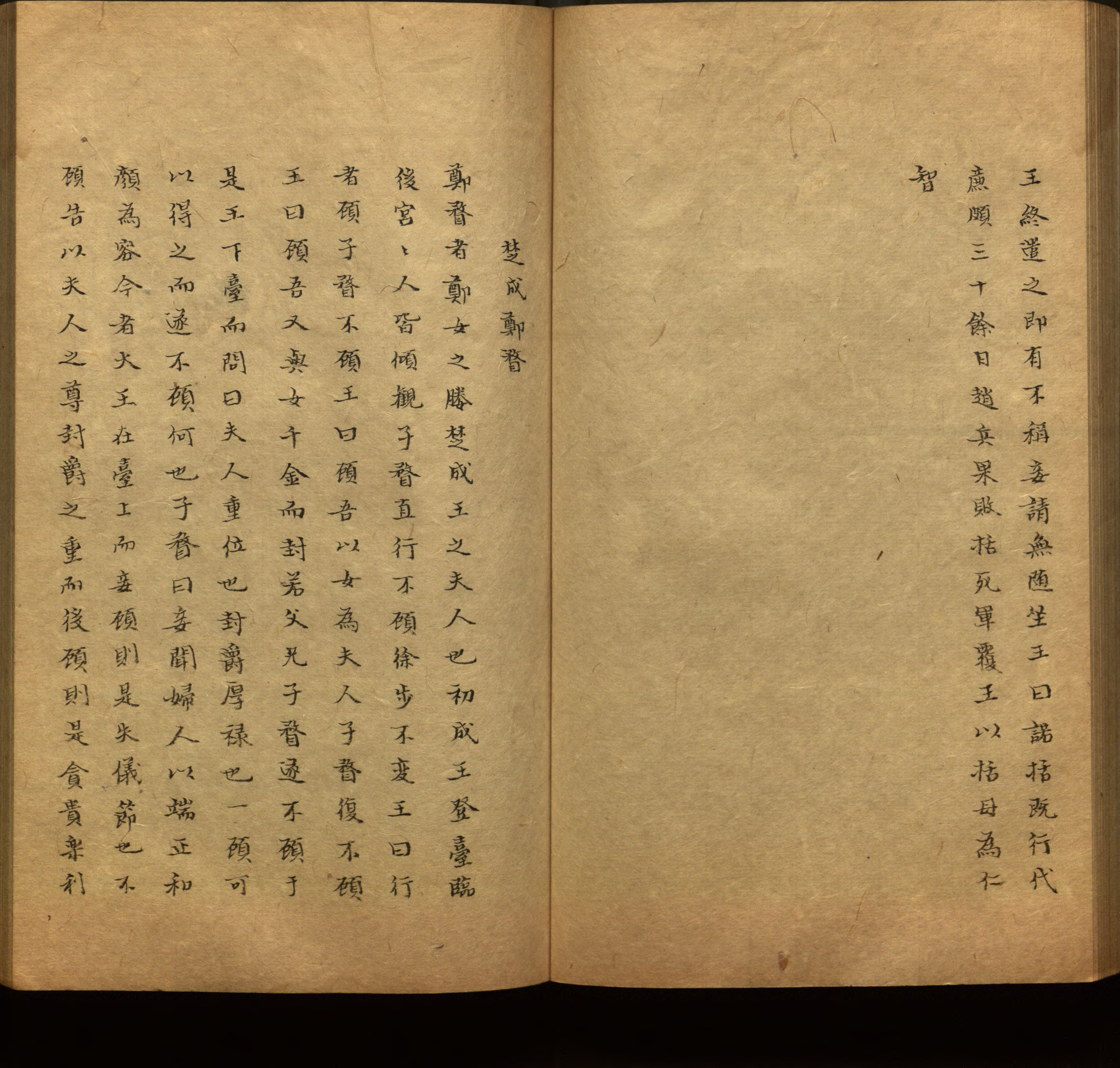 语文老师推荐的新课标小学语文生字同步练字帖是什么字帖啊