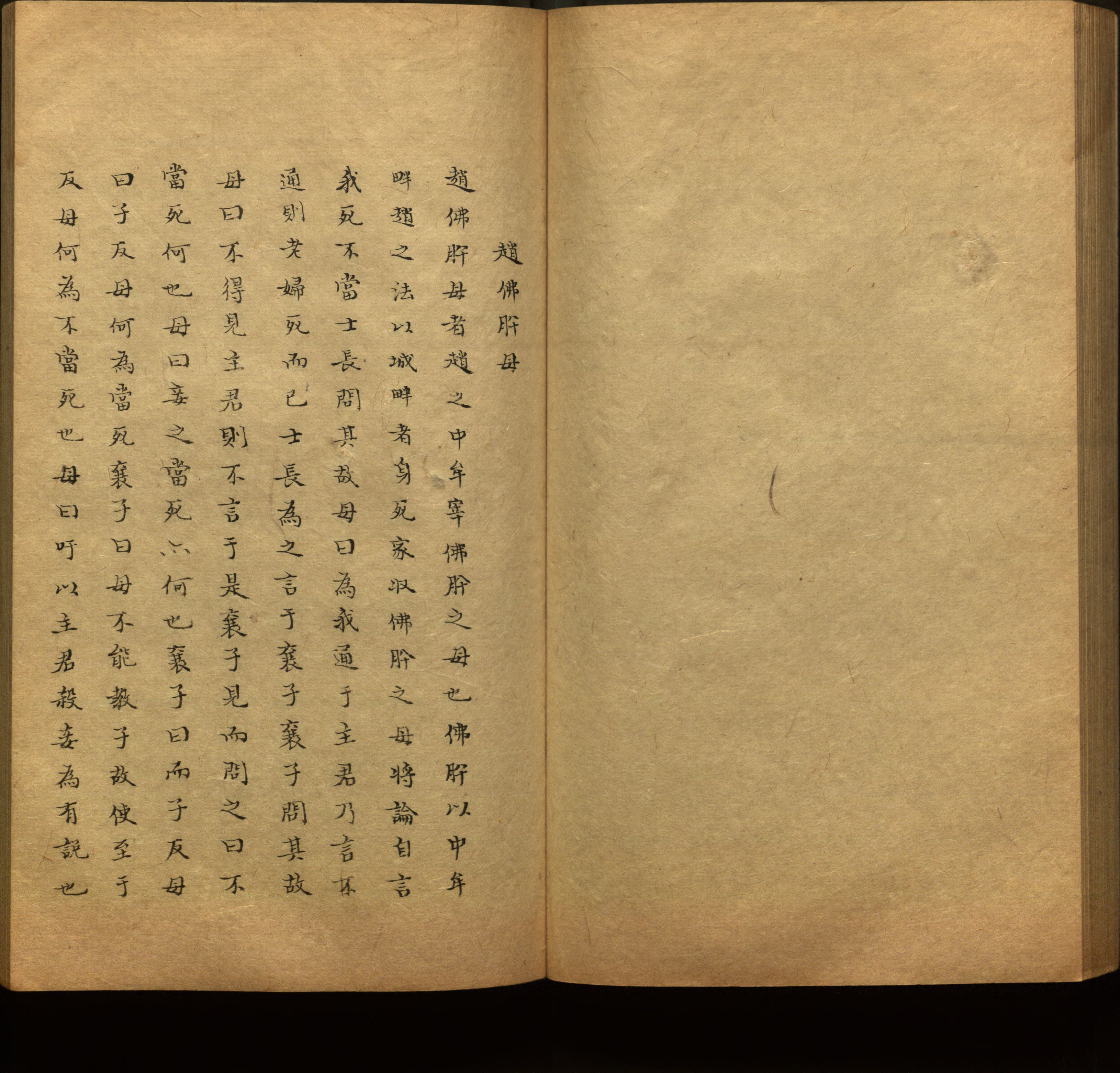 语文老师推荐的新课标小学语文生字同步练字帖是什么字帖啊