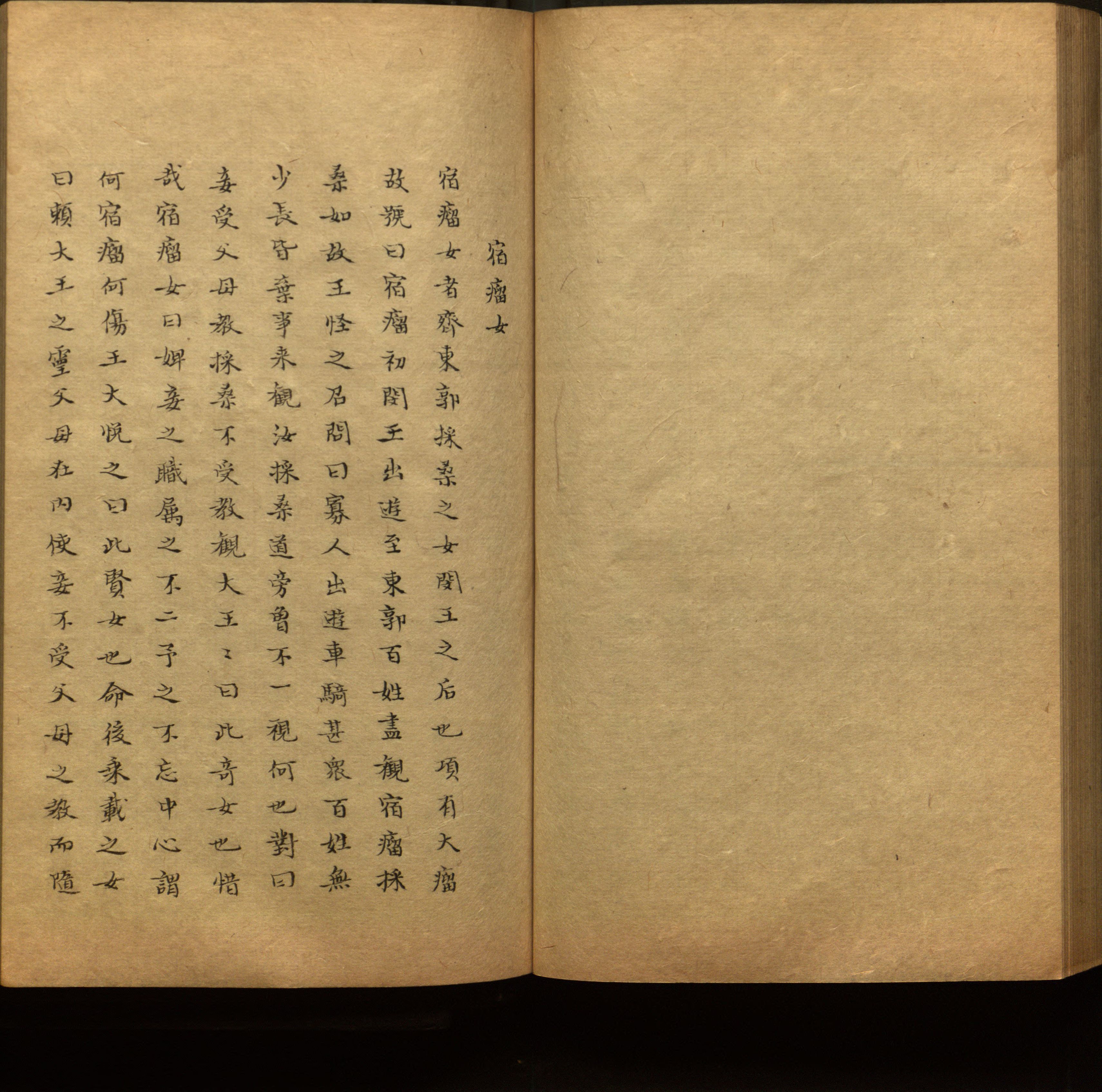 语文老师推荐的新课标小学语文生字同步练字帖是什么字帖啊
