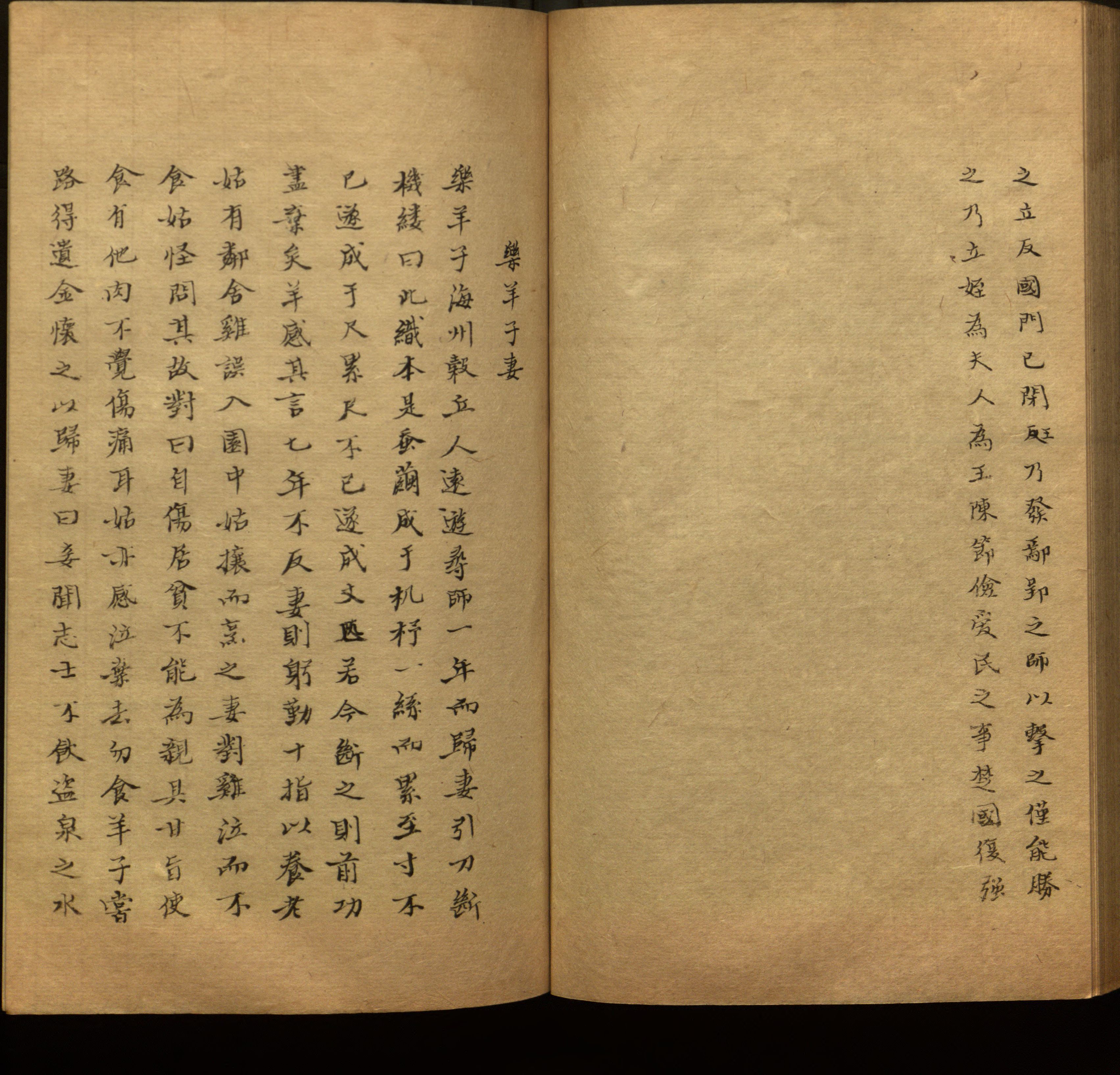 语文老师推荐的新课标小学语文生字同步练字帖是什么字帖啊