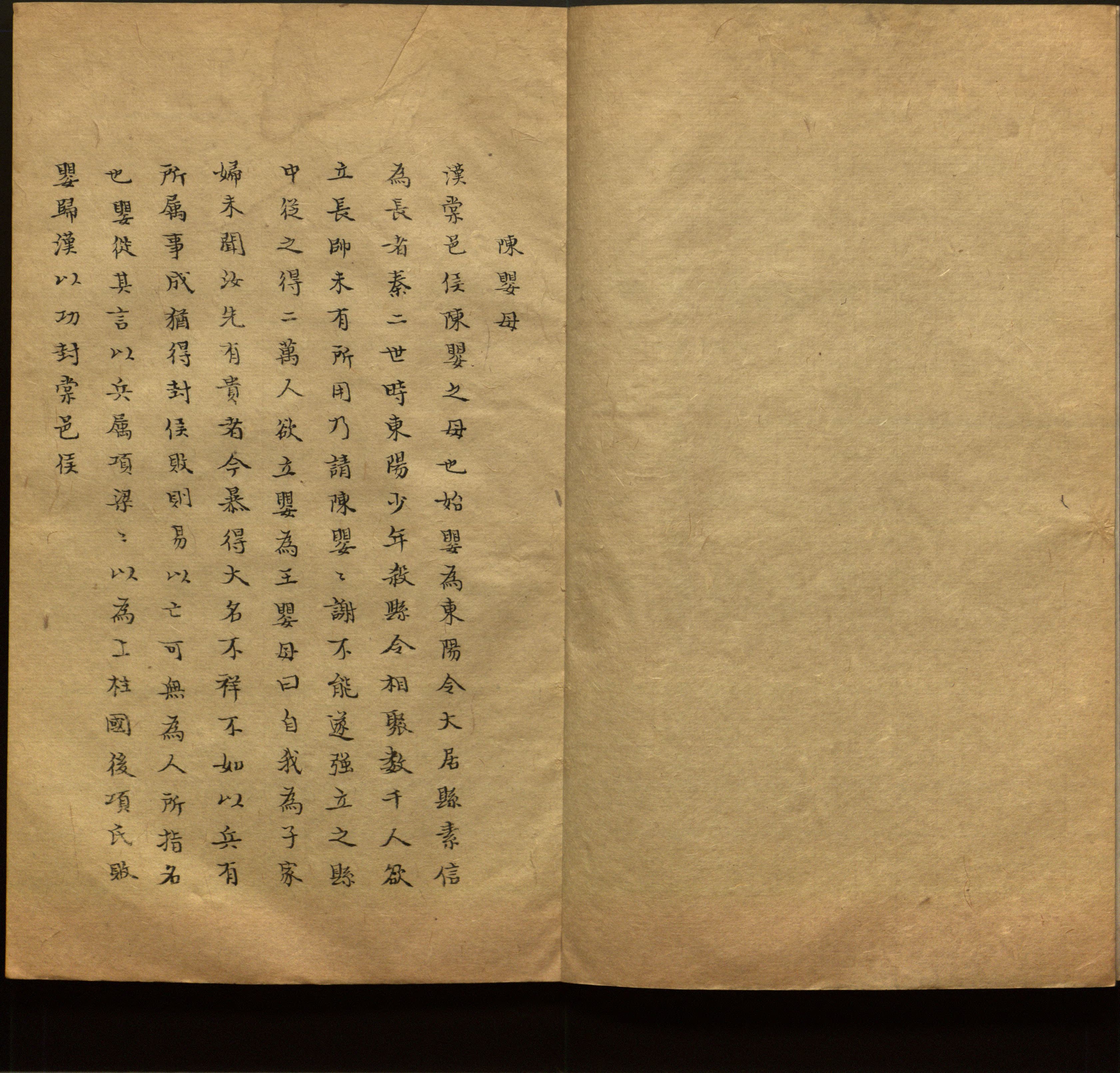 语文老师推荐的新课标小学语文生字同步练字帖是什么字帖啊