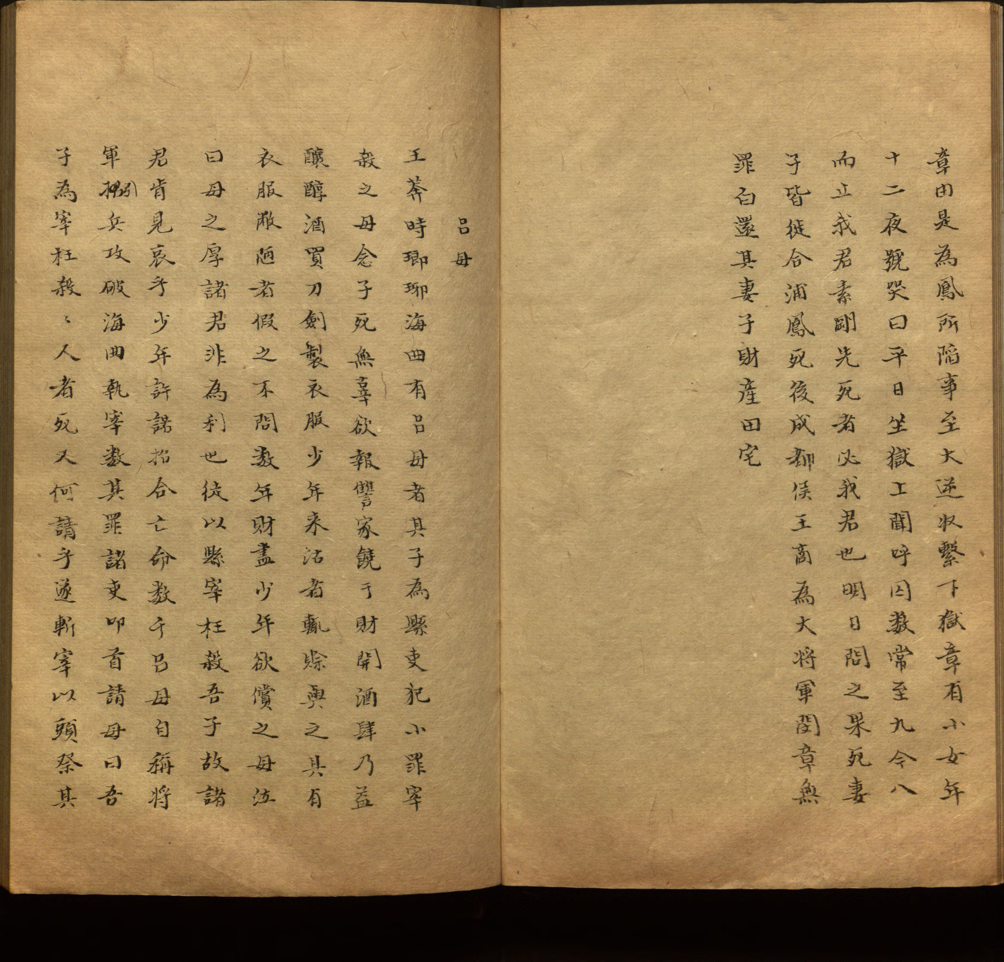 语文老师推荐的新课标小学语文生字同步练字帖是什么字帖啊