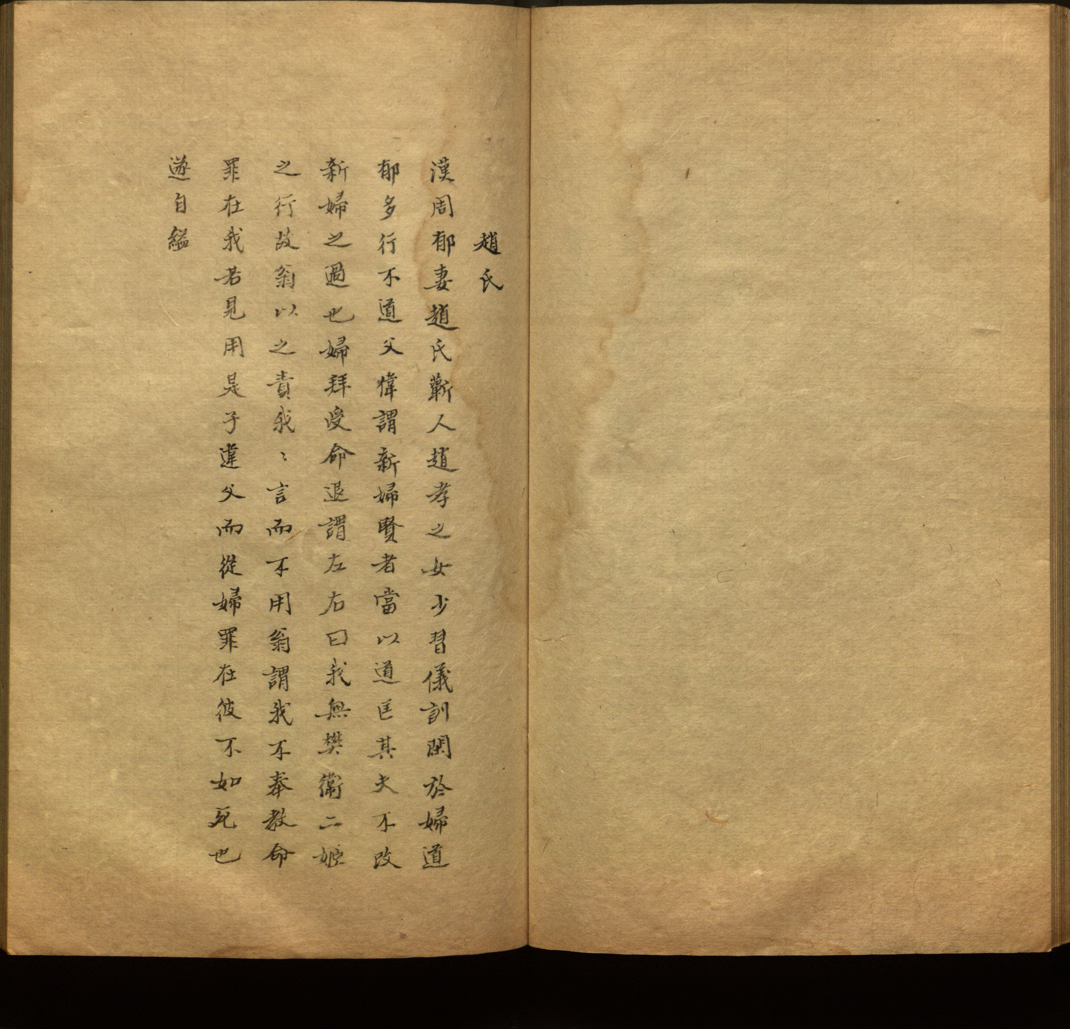 语文老师推荐的新课标小学语文生字同步练字帖是什么字帖啊