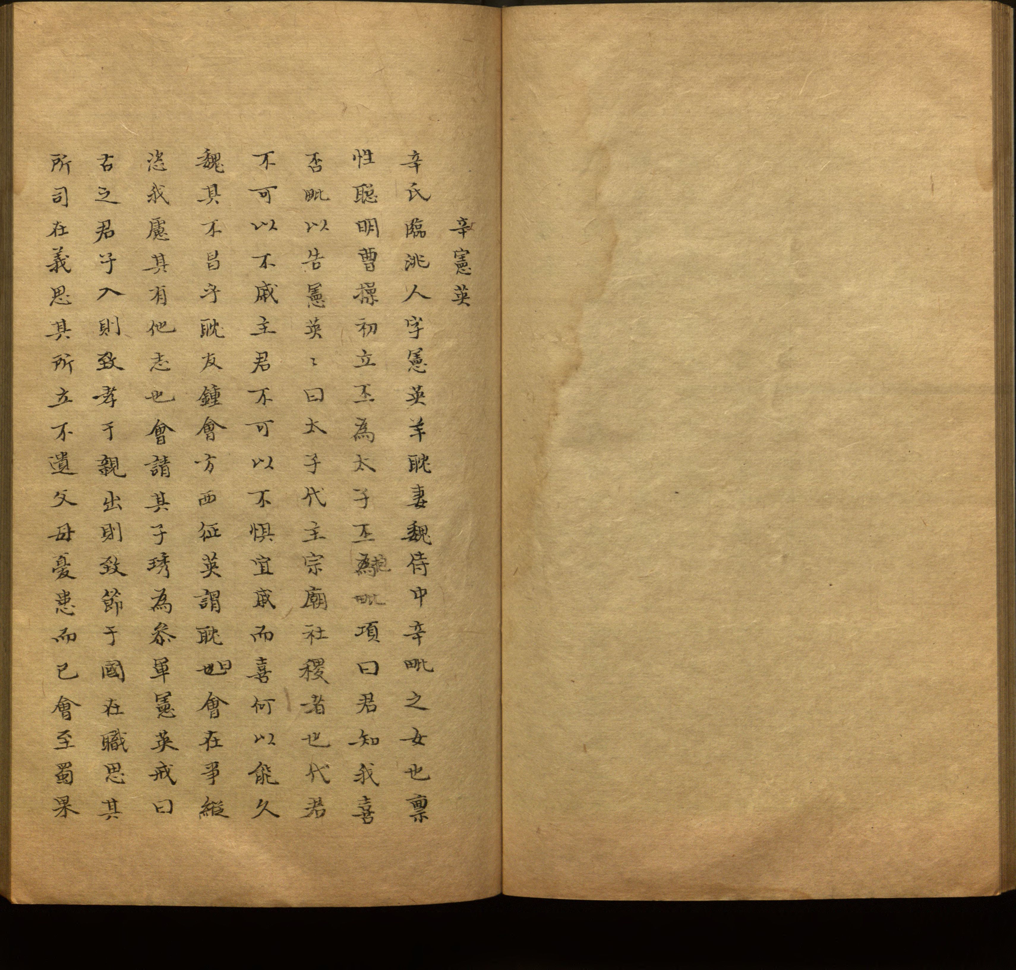 语文老师推荐的新课标小学语文生字同步练字帖是什么字帖啊