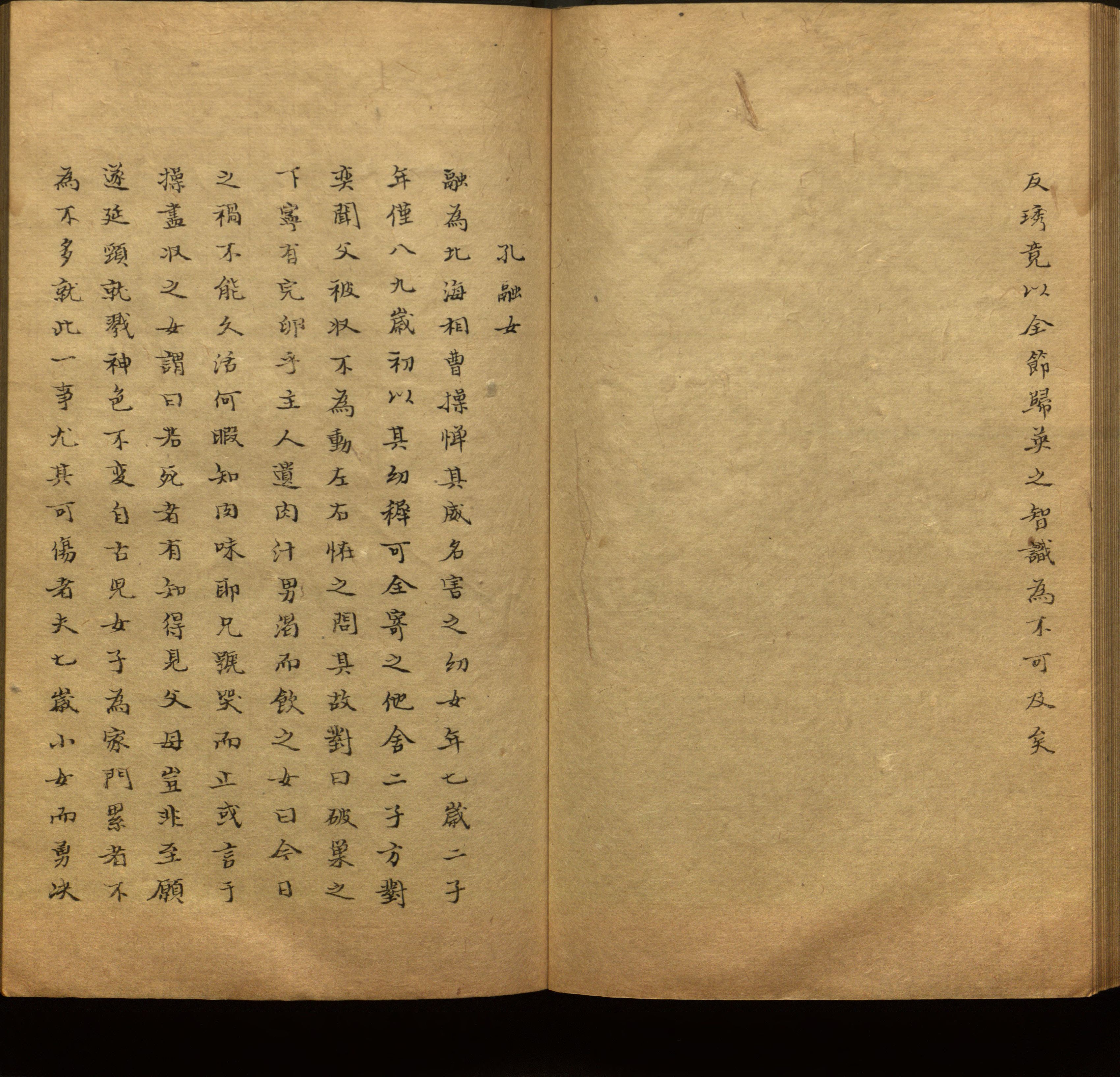 语文老师推荐的新课标小学语文生字同步练字帖是什么字帖啊