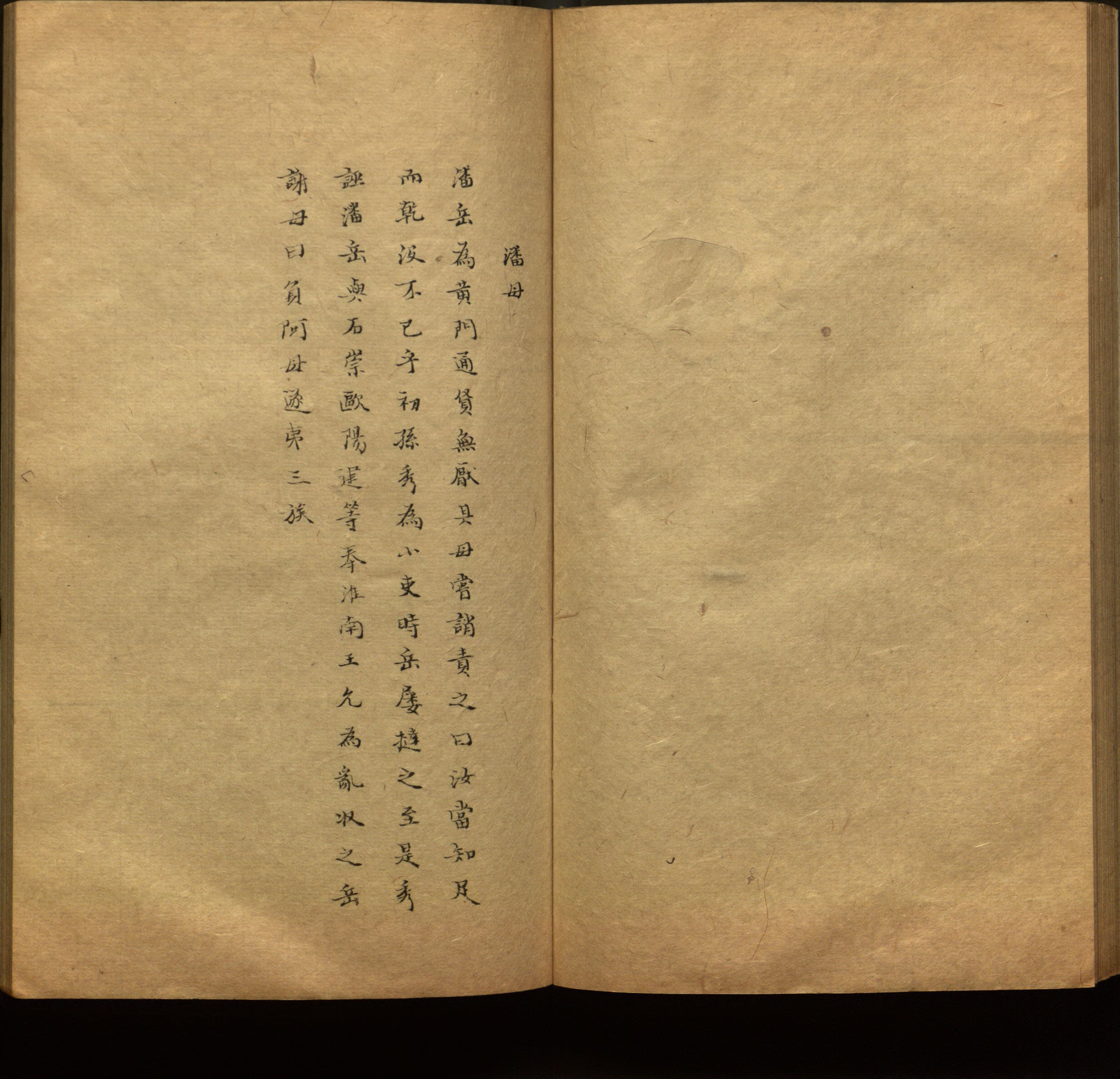 语文老师推荐的新课标小学语文生字同步练字帖是什么字帖啊