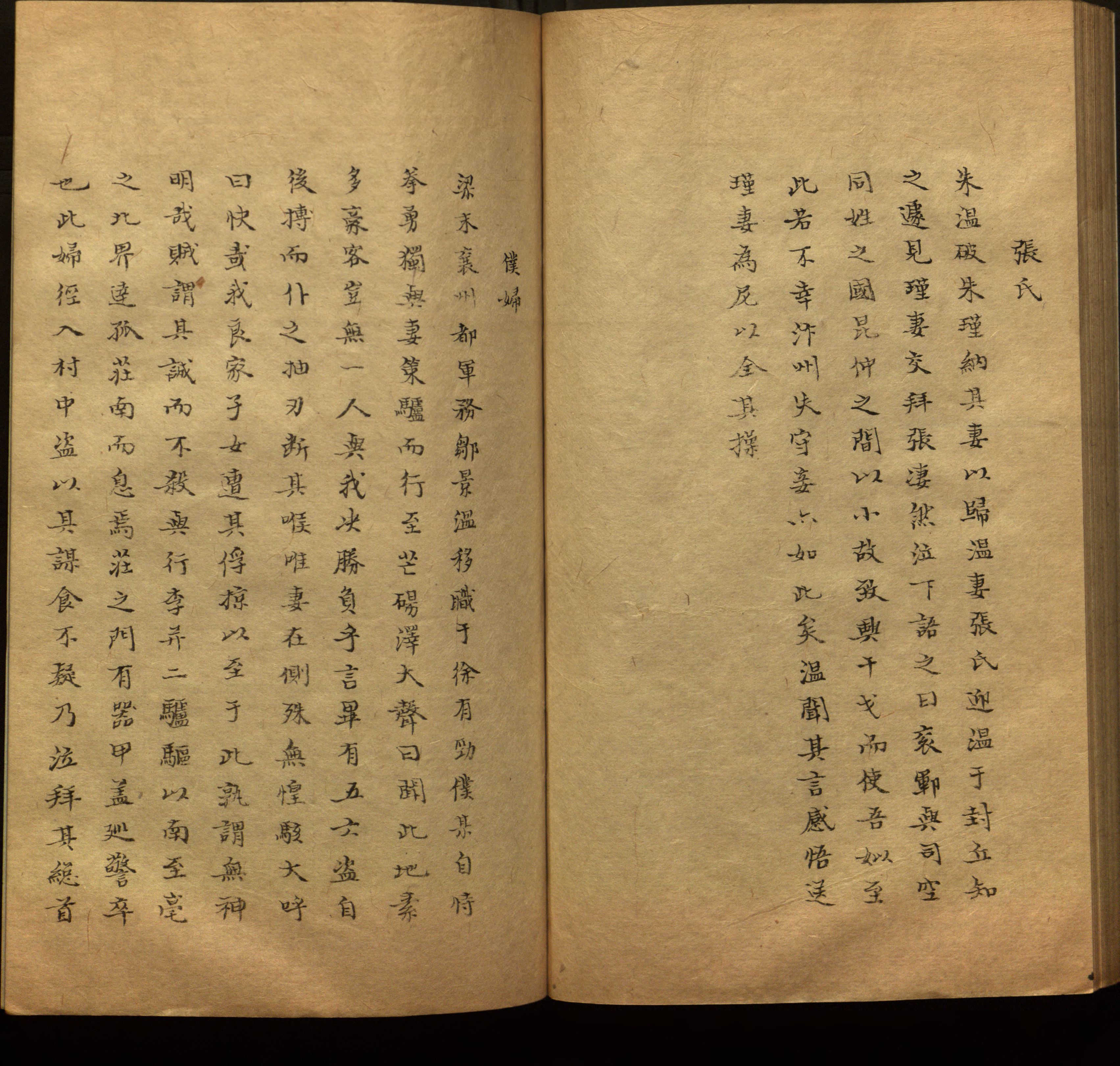 语文老师推荐的新课标小学语文生字同步练字帖是什么字帖啊