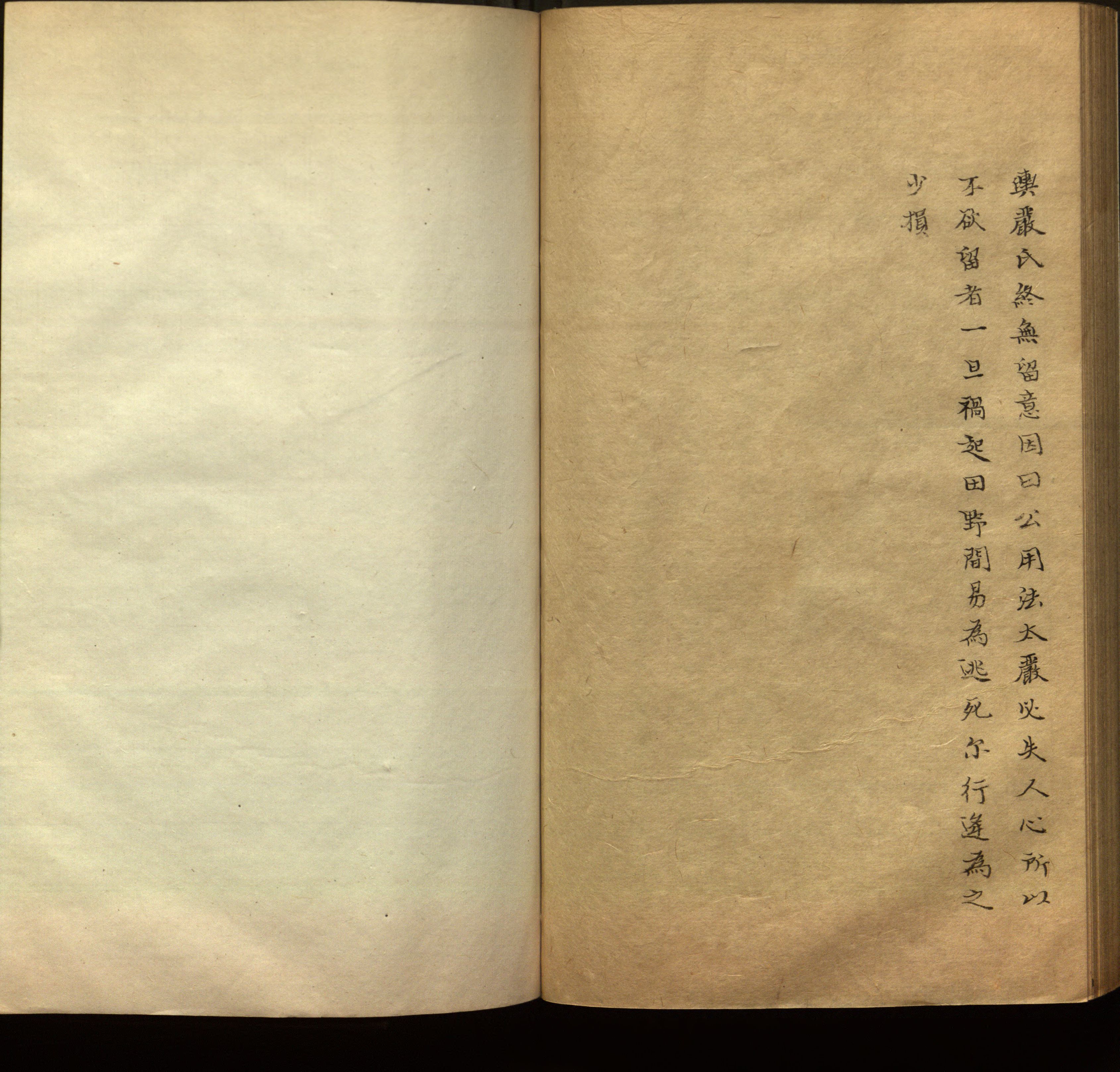 语文老师推荐的新课标小学语文生字同步练字帖是什么字帖啊