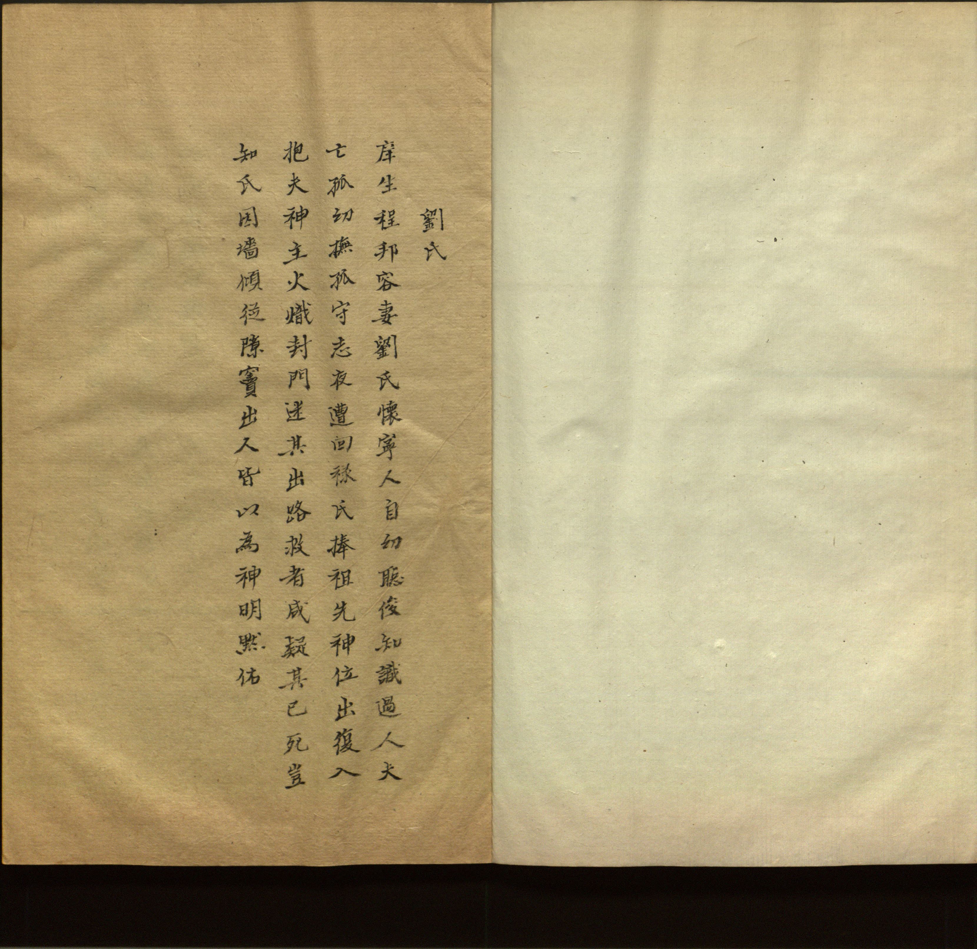 语文老师推荐的新课标小学语文生字同步练字帖是什么字帖啊