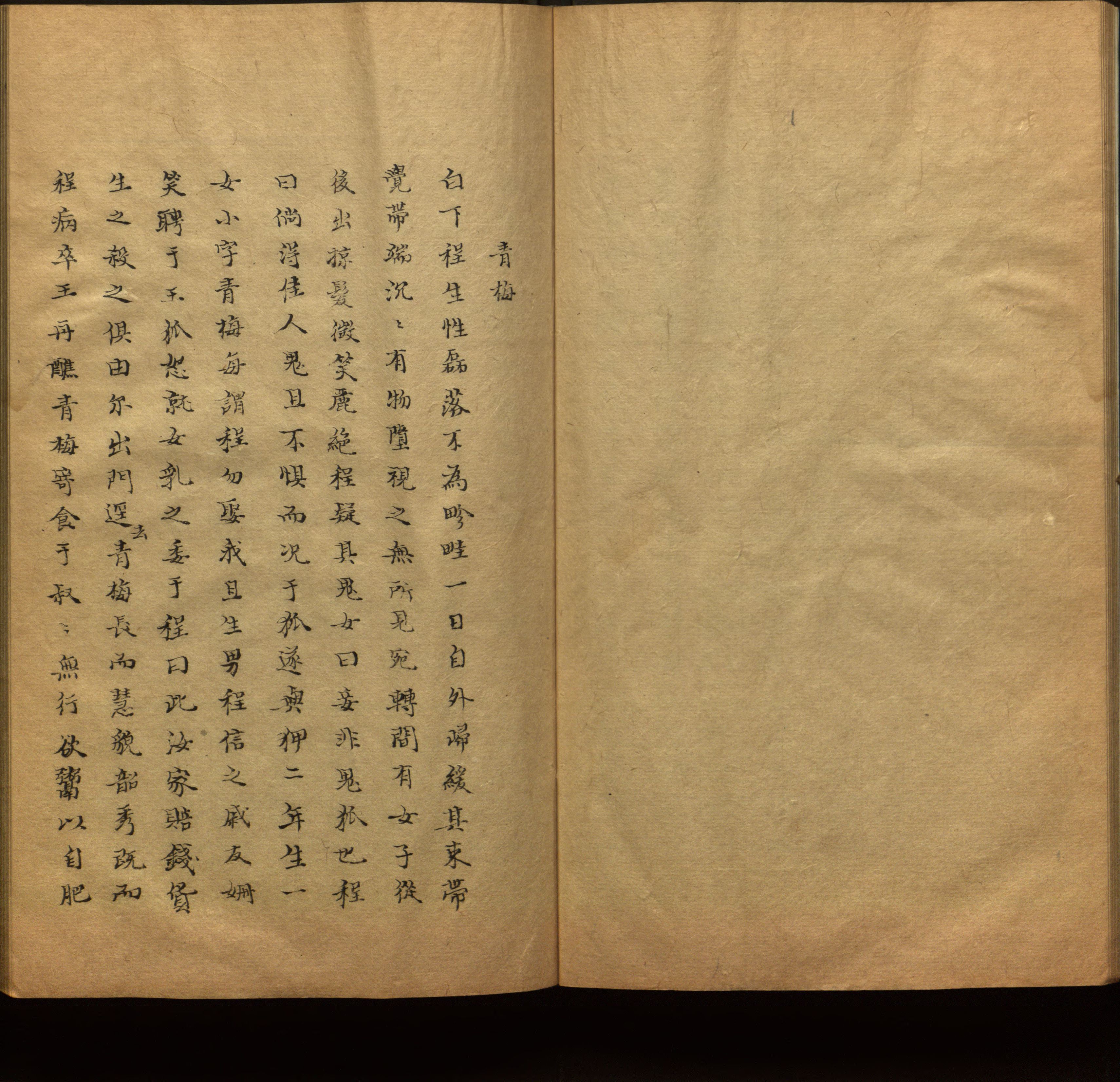 语文老师推荐的新课标小学语文生字同步练字帖是什么字帖啊
