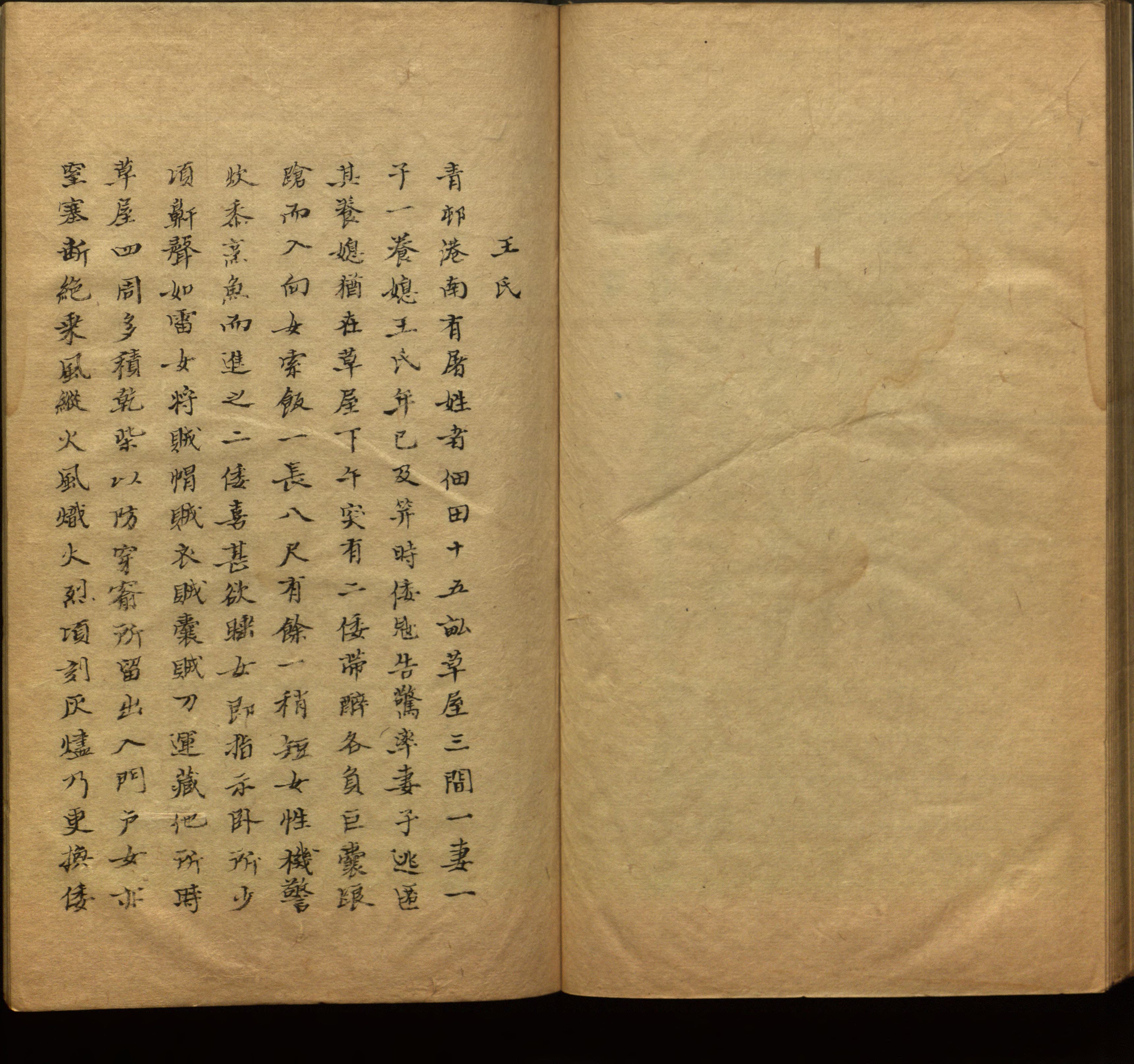 语文老师推荐的新课标小学语文生字同步练字帖是什么字帖啊