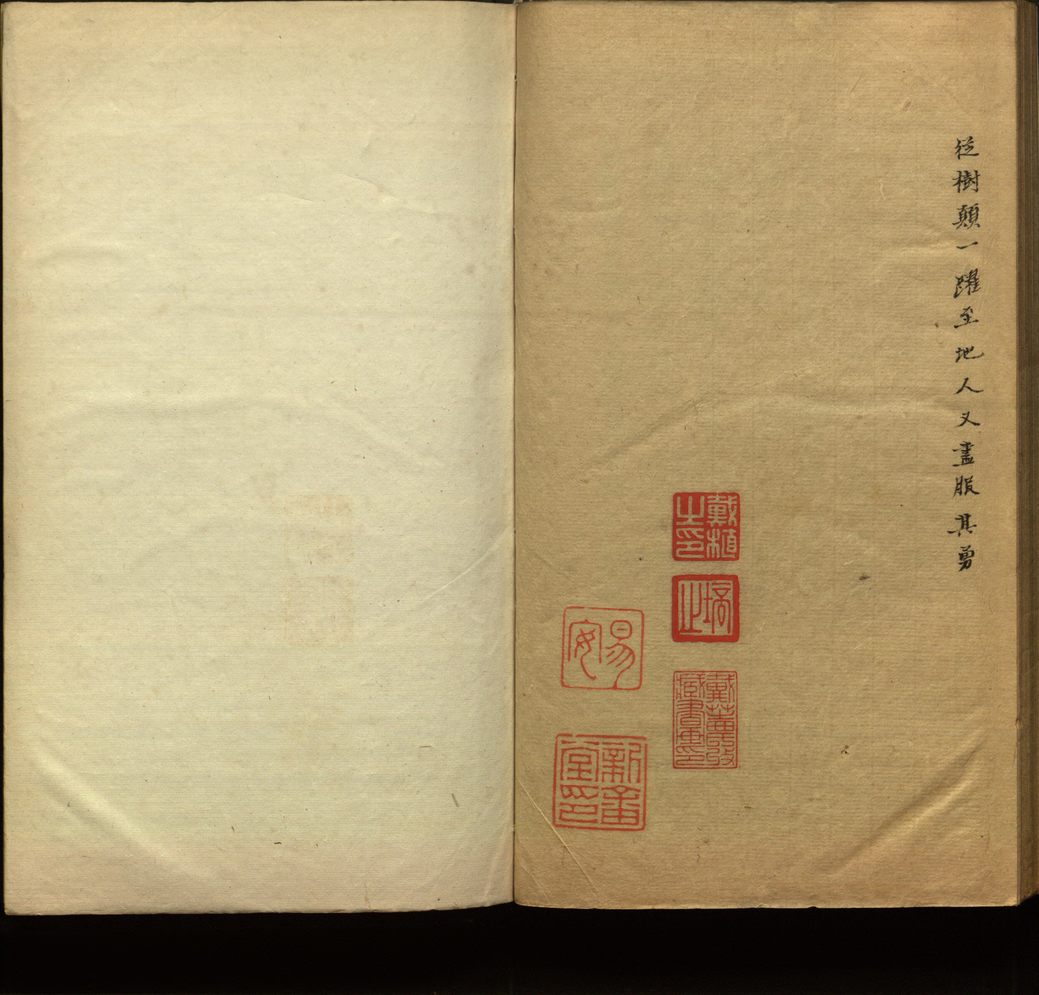 语文老师推荐的新课标小学语文生字同步练字帖是什么字帖啊