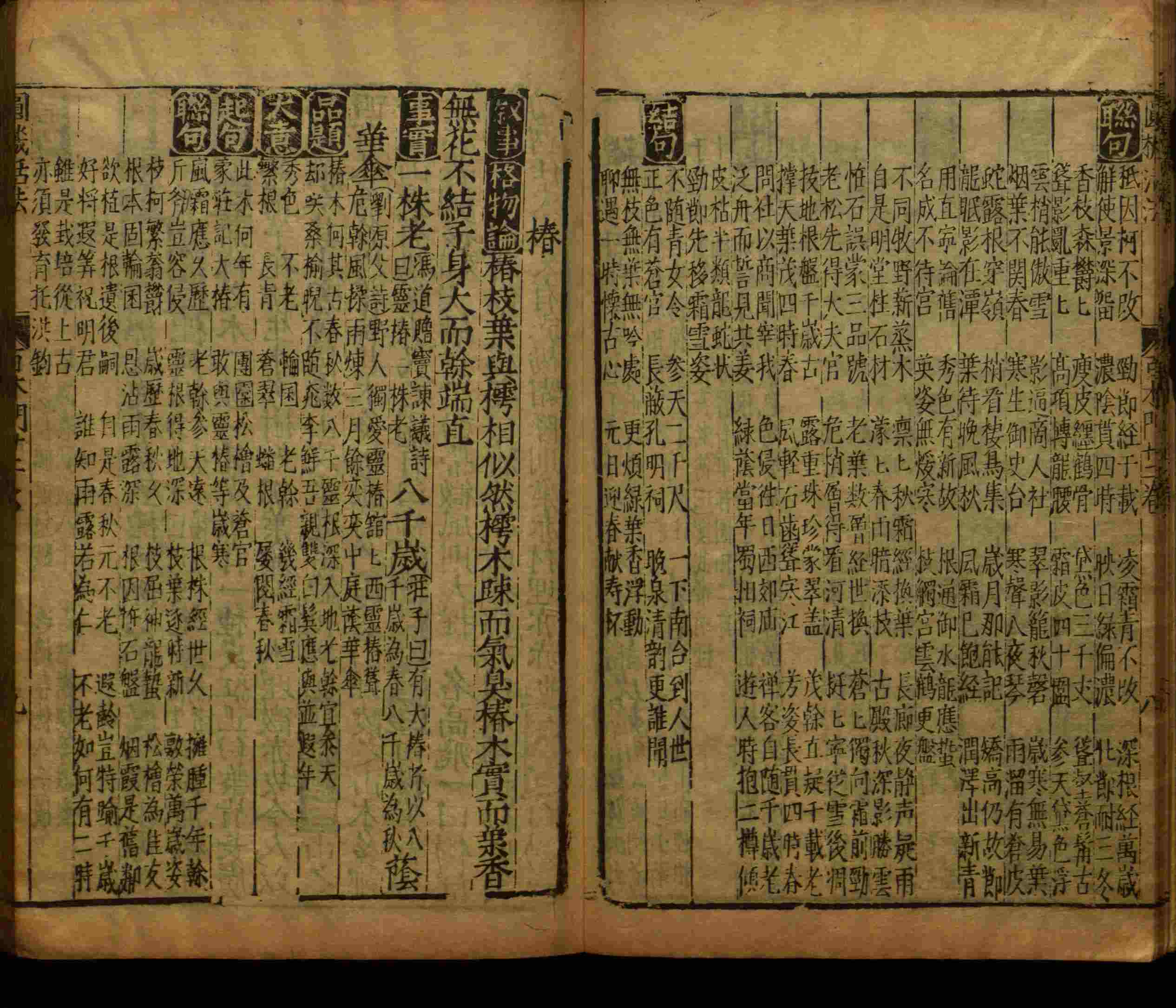 语文老师推荐的儿童练字字帖打印免费是什么字帖啊